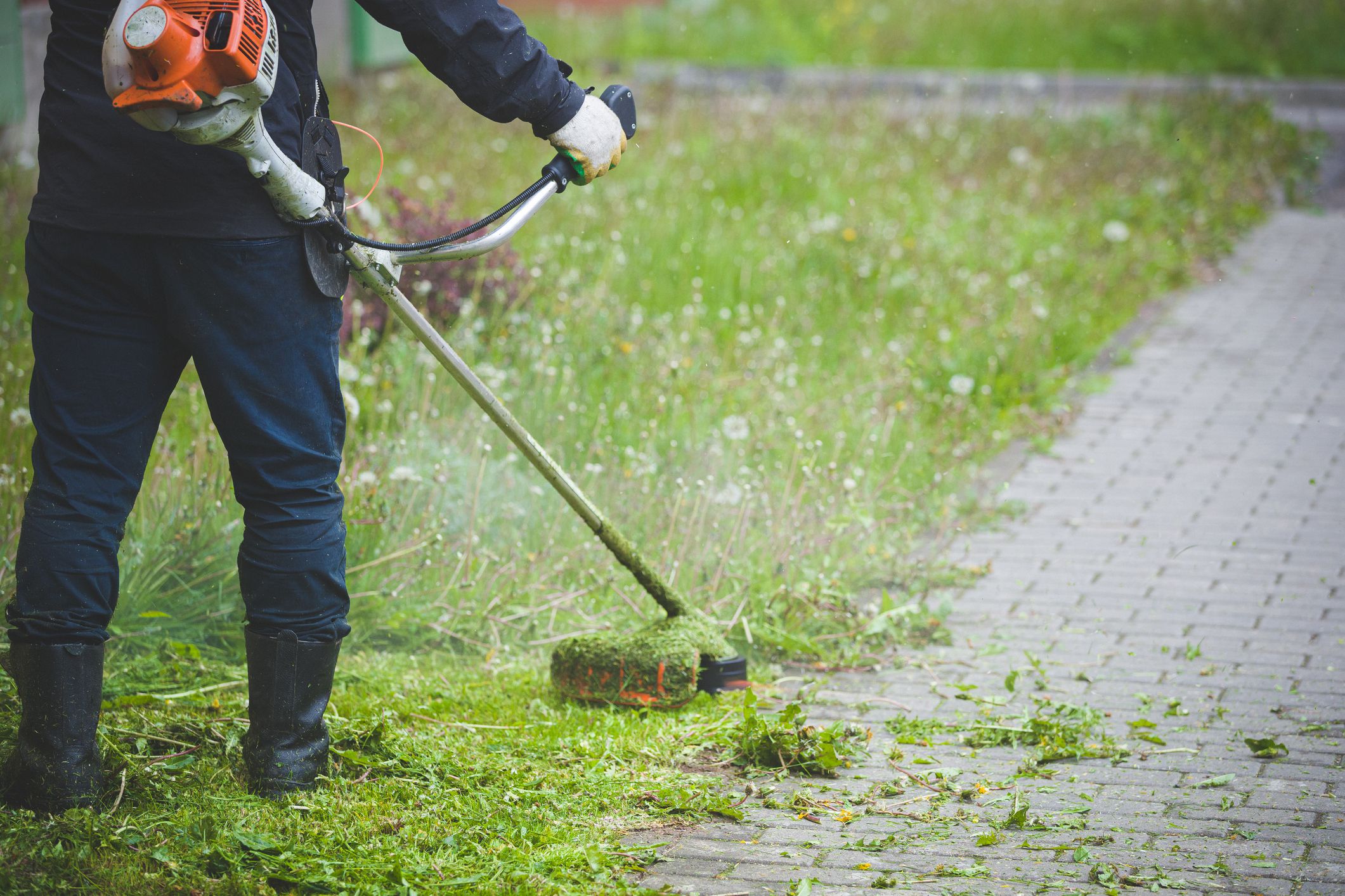 Turf Wars: Horror Stories of Lawn Disputes Between Neighbors