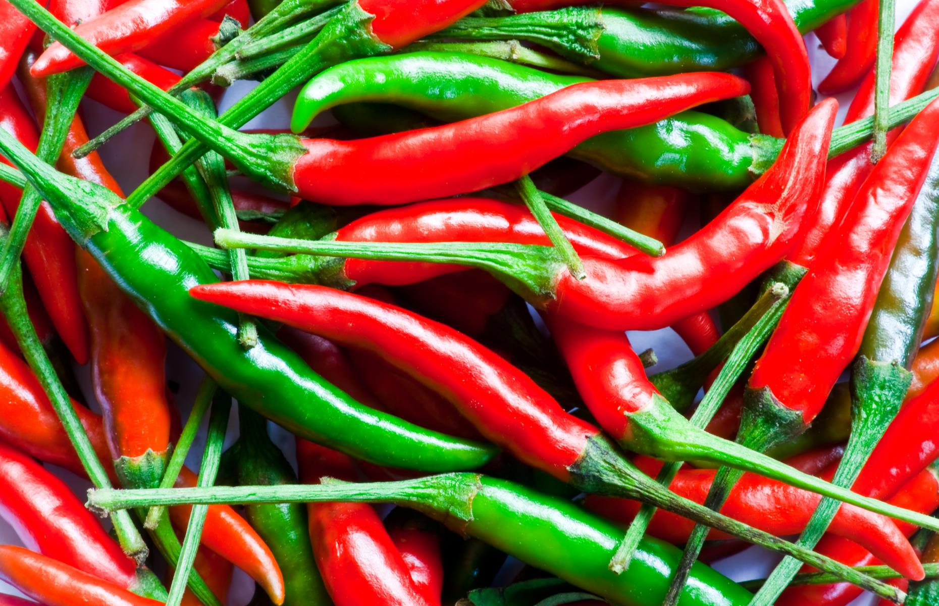 <p>Believe it or not, but green chilies are just as hot as red – they are at the unripe stage when green. Just like the difference between a green and red bell pepper, red chilies will be sweeter and more rounded in flavor, but still as hot. </p>
