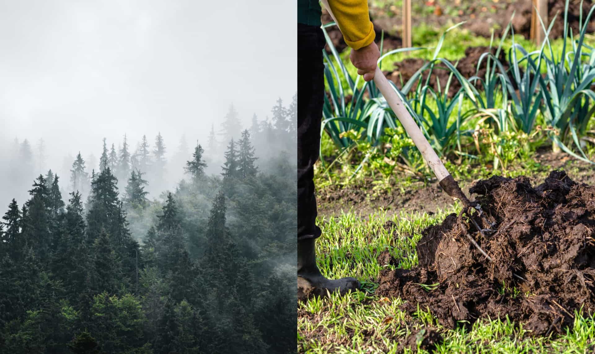 English words that have a different meaning in other languages