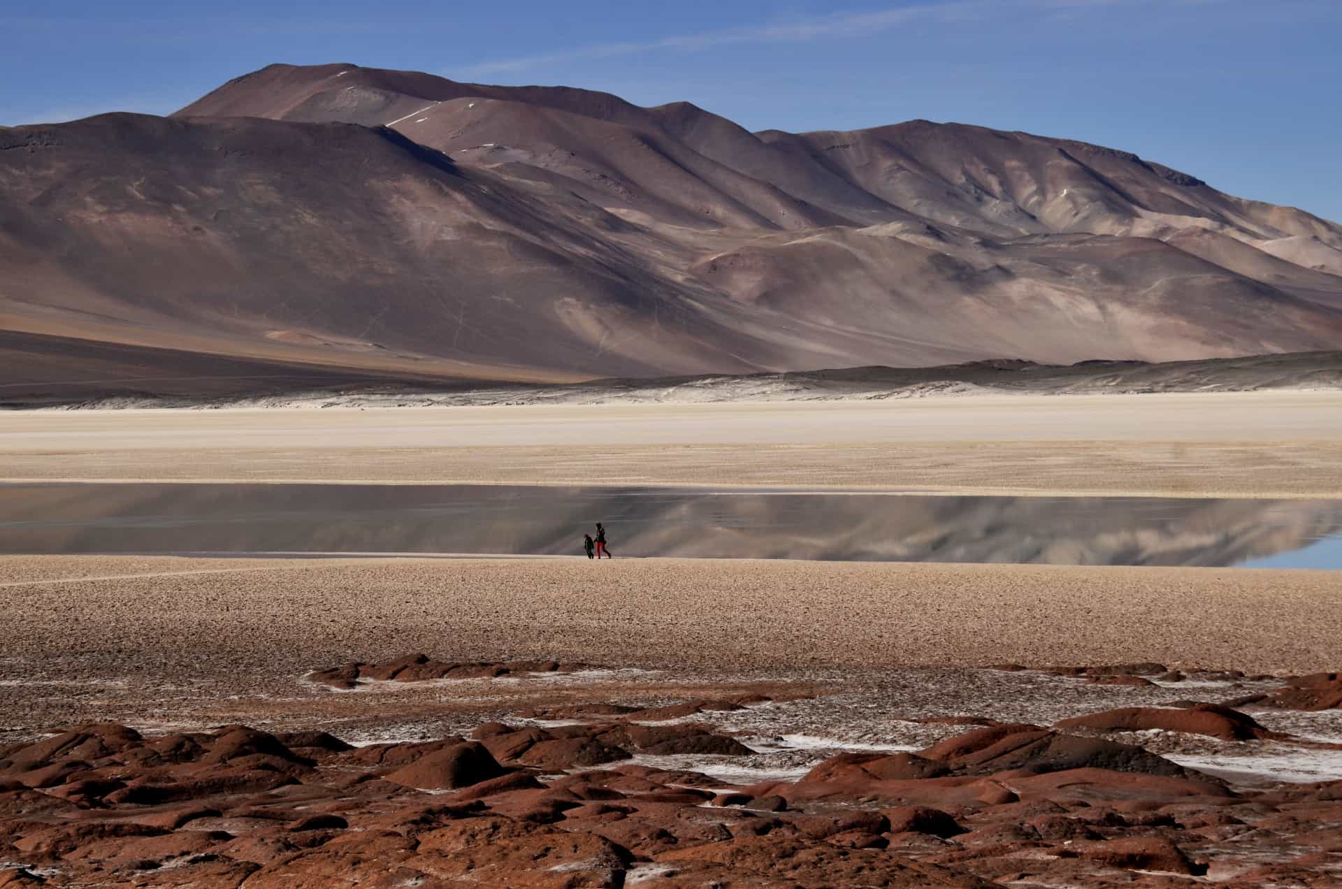 Le désert le plus sec du monde est situé au Chili. Certains chercheurs disent qu'il n'a pas plu dans le désert d'Atacama depuis 571 ans.