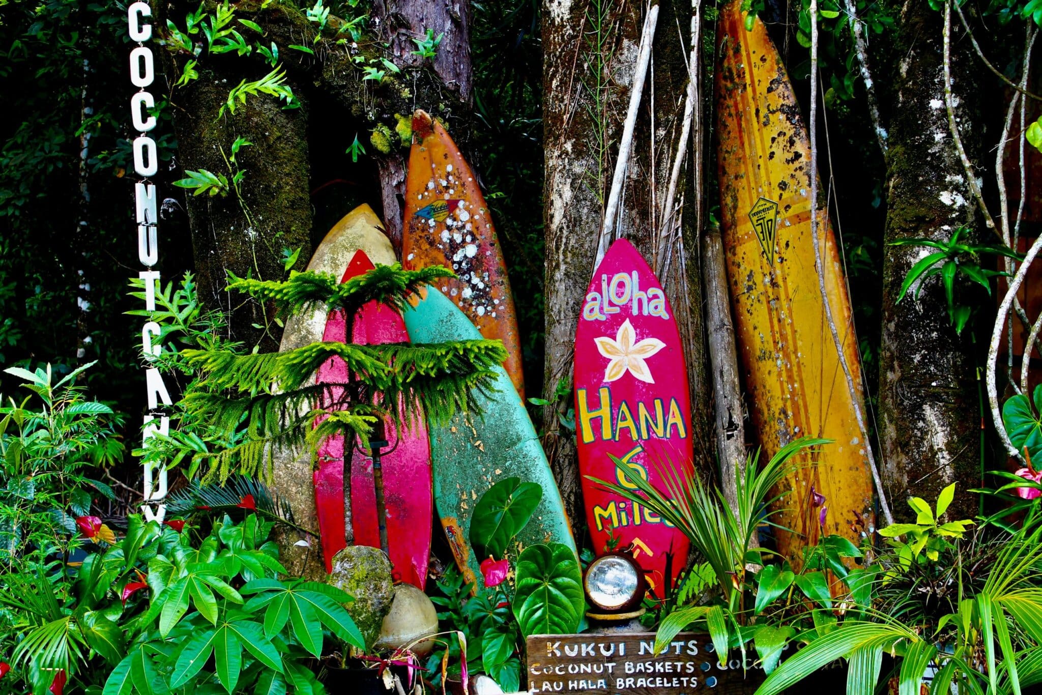 <p>The Road to Hana day trip is one of the most popular activities on Maui for a reason. This 52-mile journey allows you to explore an undeveloped portion of east Maui that feels like the Hawaii of yesteryear. From a “Half Hana” to a full 12-hour day, <a href="https://planneratheart.com/the-road-to-hana-stops/" rel="noopener">plan your Road to Hana stops </a>at famous sites like Keanae Peninsula, Wai'anapanapa State Park, and the world-famous Hamoa Beach Pipiwai Trail in Haleakala National Park. The Road to Hana is about enjoying the journey, not reaching the final destination, so don't forget to stop at infamous food stalls like Aunt Sandy's Banana Bread and Coconut Glen's.</p>
