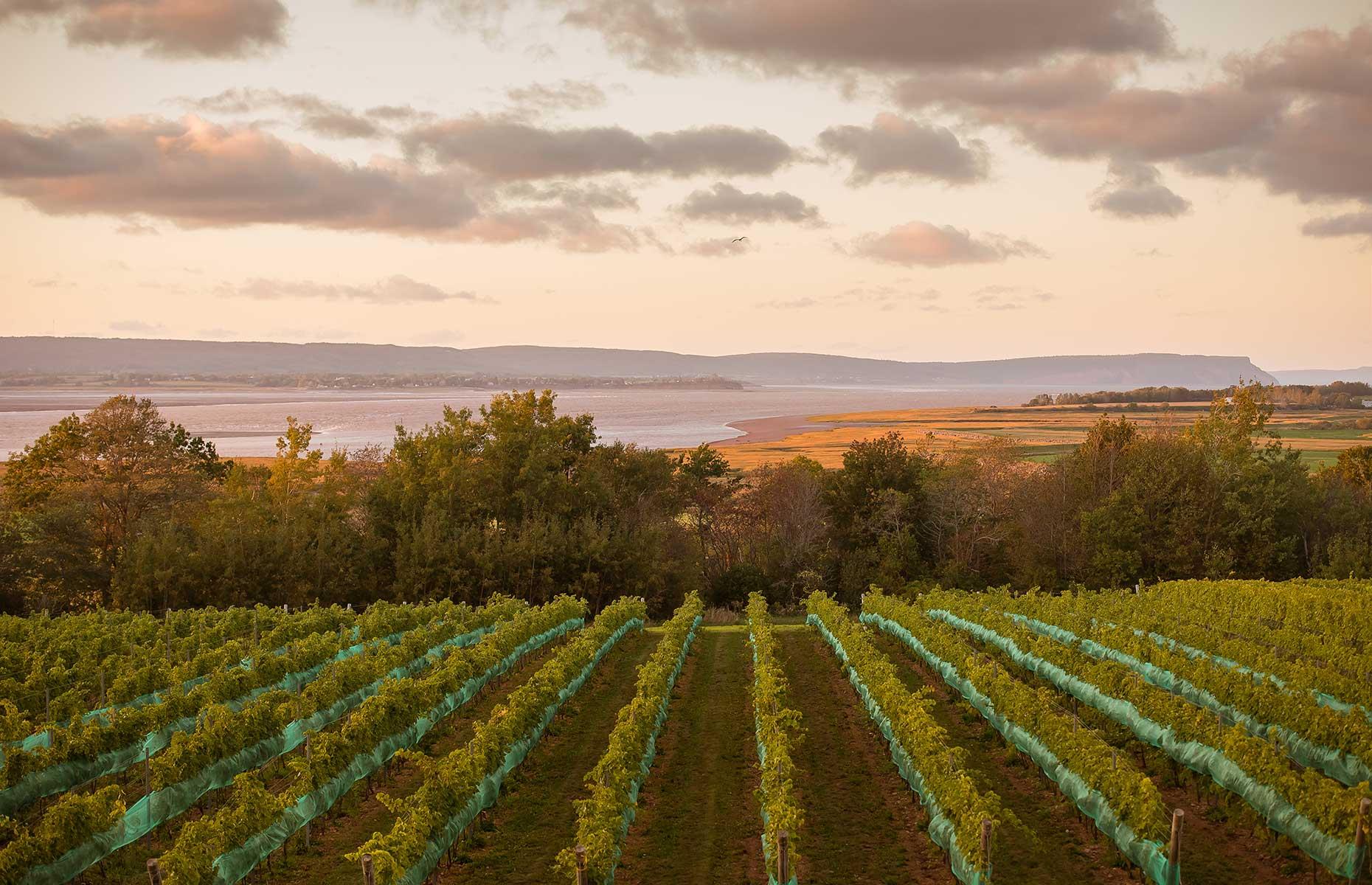 50 incredible photos that show the beauty of Canada