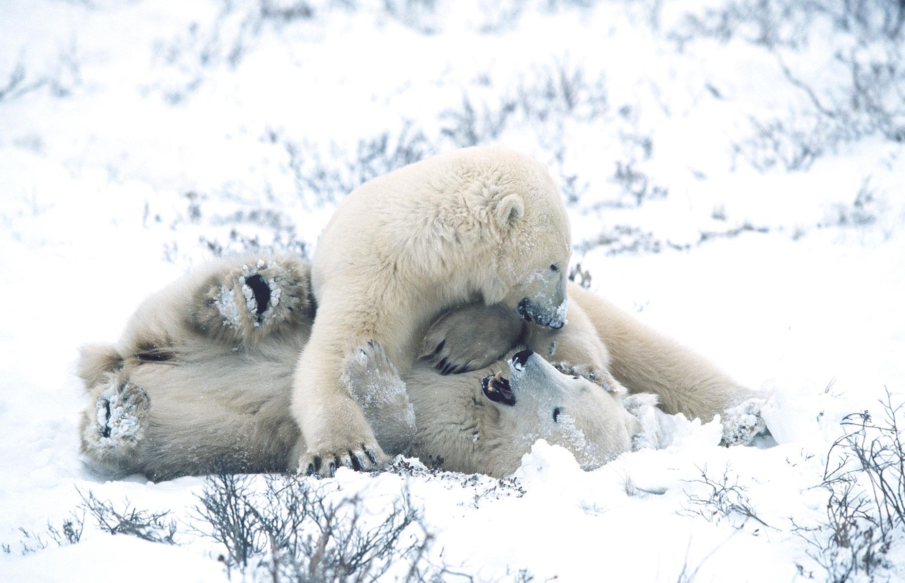 50 incredible photos that show the beauty of Canada