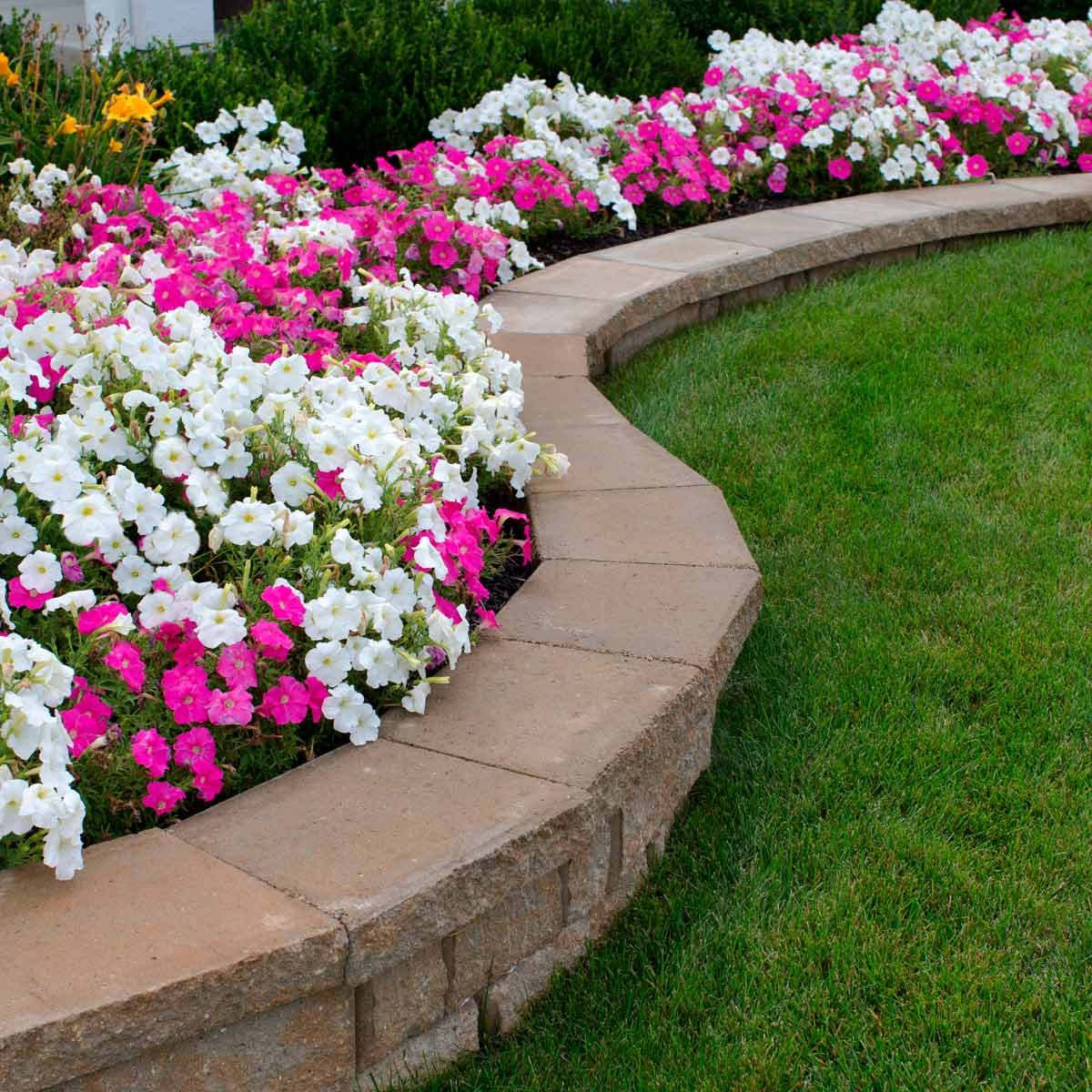 10 Best Small and Simple Flower Bed Ideas