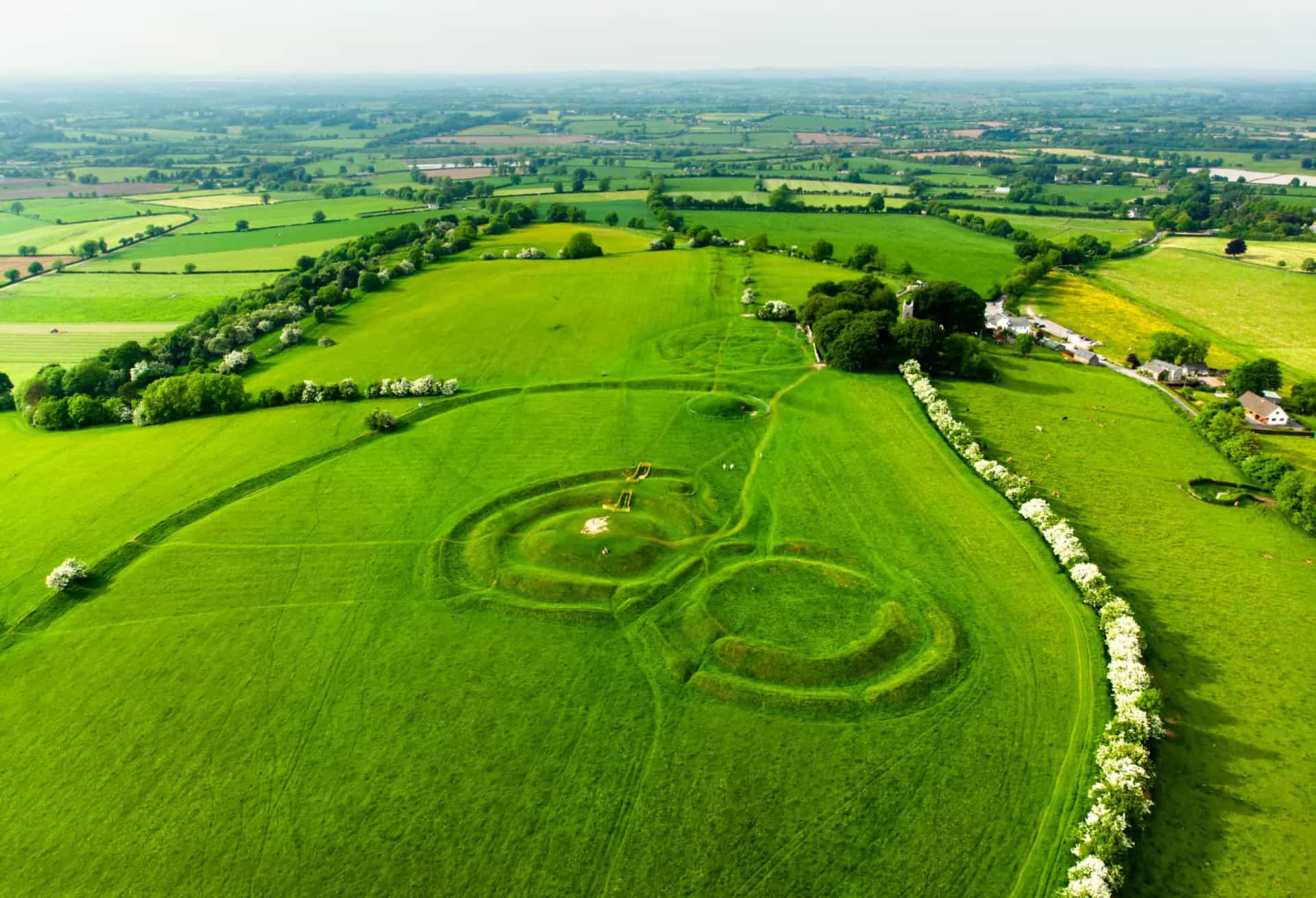 The Irish link