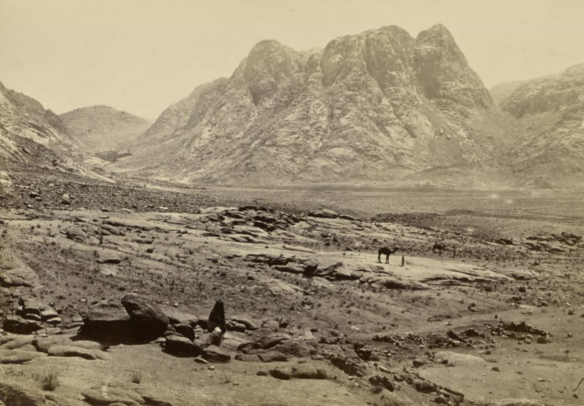 Mount Sinai