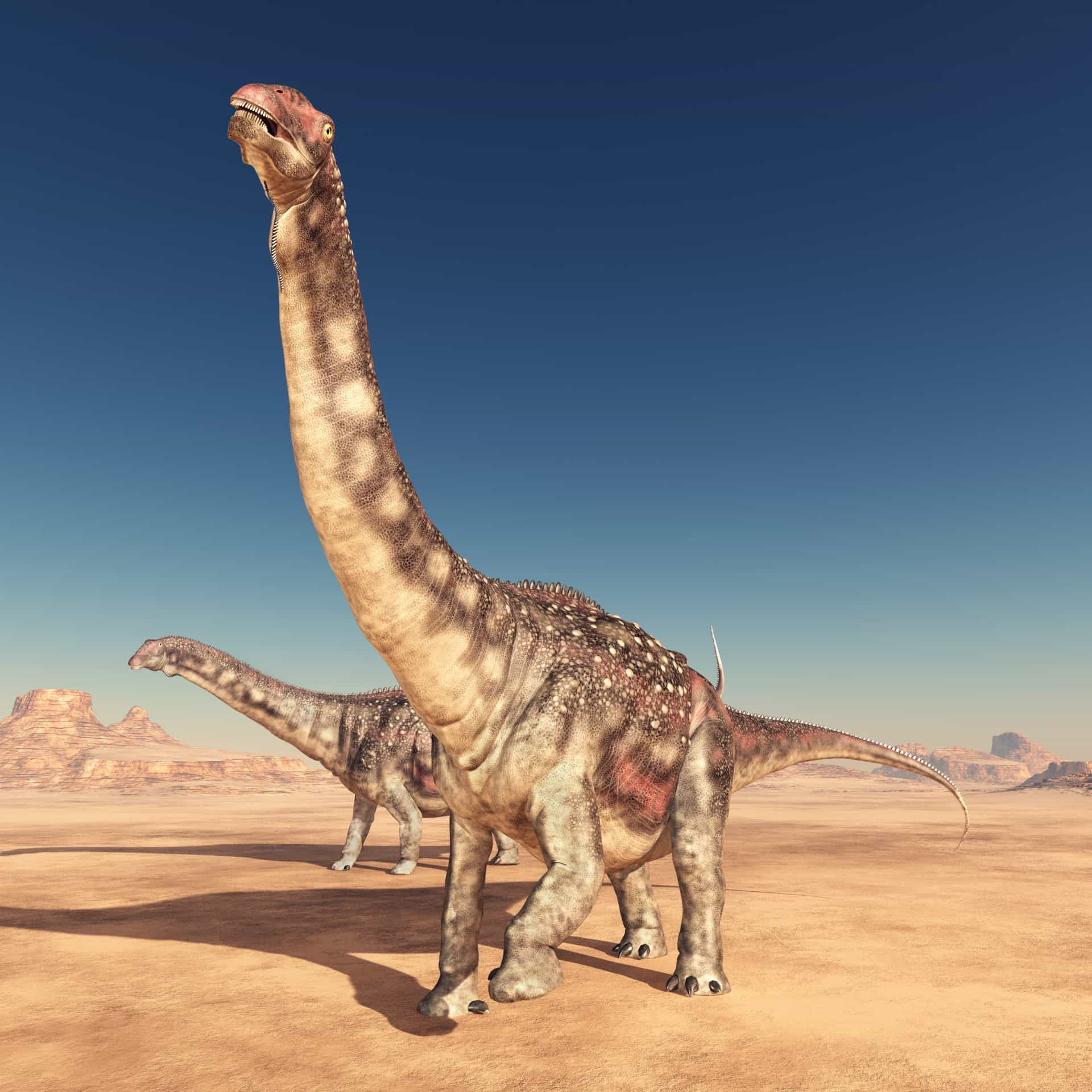 What do we actually know about dinosaurs?