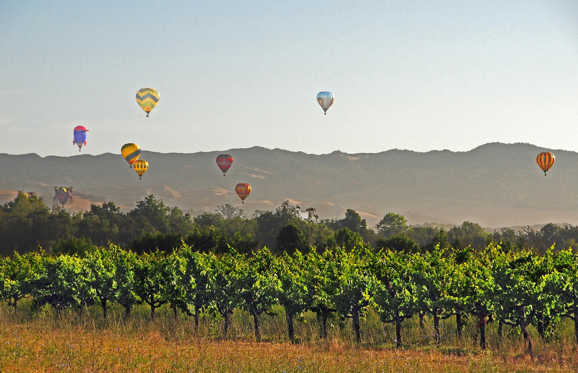 <p><a href="https://www.up-away.com/packages">Ballooning, Bikes and Brews tours</a> in Sonoma County offer an alternative way to experience the beauty of California wine county from both land and air. Once you've taken to the skies and soared above picturesque rows of vines at sunrise for a totally new perspective on the region, explore the county's many vineyards and breweries by bike and sample some of the finest wines as well as the freshest beers on offer. There may be no better way to experience Sonoma County.</p>  <p><strong><a href="https://www.loveexploring.com/guides/82205/an-areabyarea-guide-to-californias-wine-regions">Check out our guide to California's wine regions too</a></strong></p>