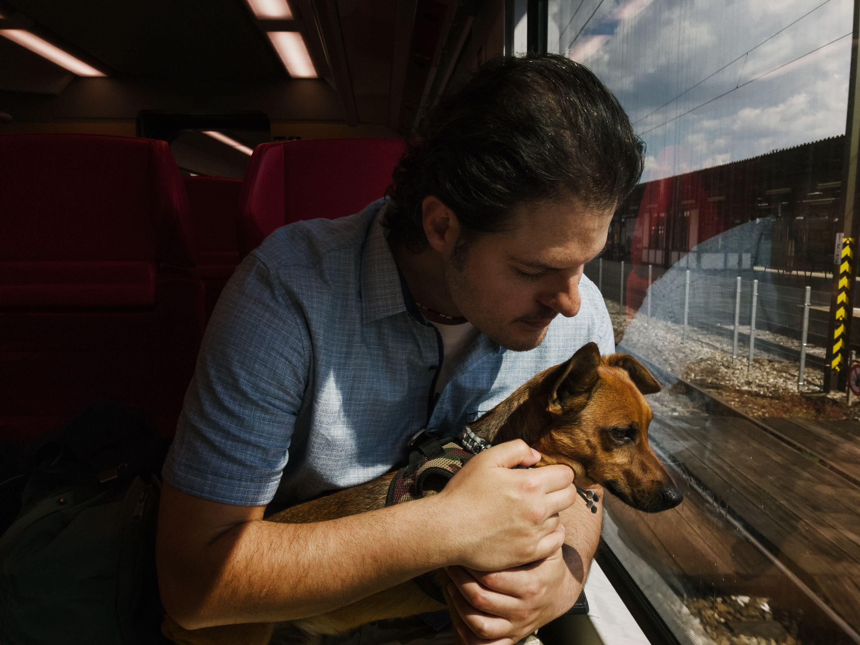 <p>If cars and airplanes aren’t going to work for your situation, then you may want to consider traveling by train. For instance, <a href="https://www.amtrak.com/pets">Amtrak allows you to travel with pets </a>under 20 pounds if you keep them in a carrier for just $26 or 800 rewards points.</p>