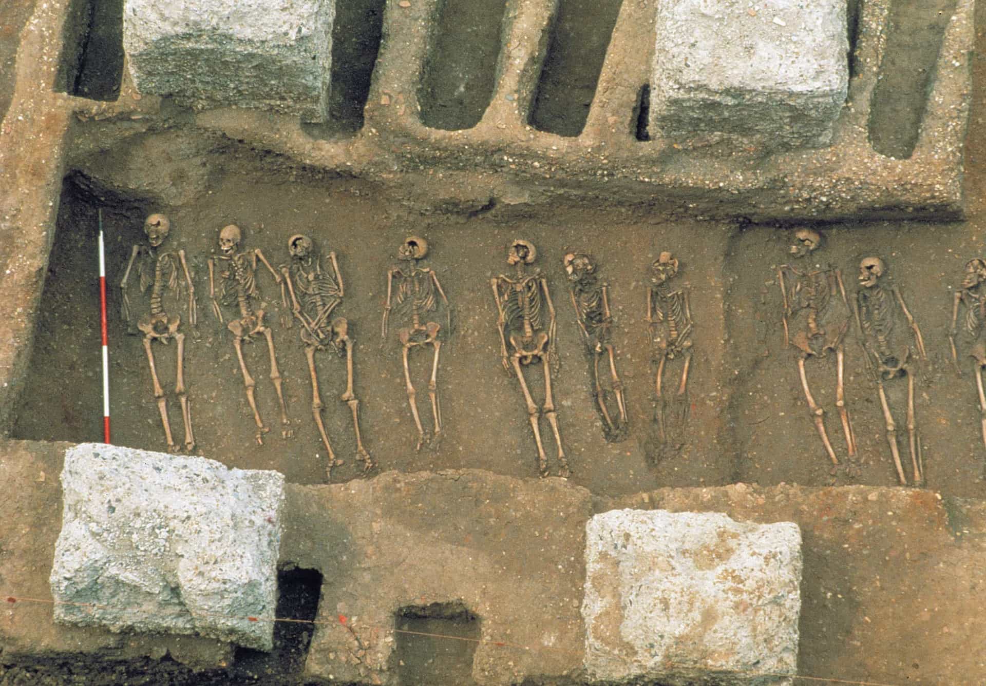 <p>Elders tijdens dezelfde opgravingen werd een gemeenschappelijk graf ontdekt. In plaats van massaal in een pestput te zijn gegooid, waren deze slachtoffers zorgvuldig naast elkaar gelegd. Ze lijken daarmee een fatsoenlijke begrafenis te hebben gehad. </p>