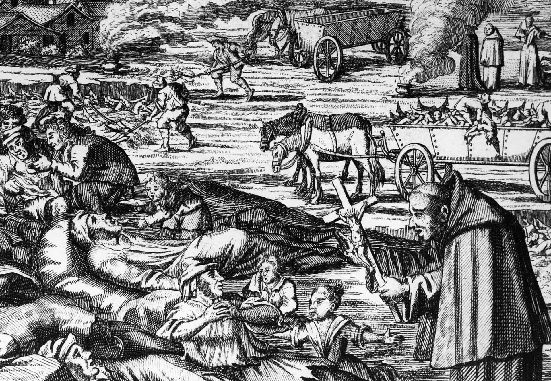<p>Het was de schrik van de Middeleeuwen: de Zwarte Dood. Een besmetting betekende niet alleen een afgrijselijke lijdensweg, maar ook een doodvonnis. De verwoestende builenpest trof Europa en Azië in het midden van de jaren 1300. Naar schatting heeft de pandemie zo'n 200 miljoen levens geëist. Waar kwam deze verderfelijke pest vandaan, hoe werd het overgedragen en wat maakte het zo gruwelijk?<br><br>Klik verder en ontdek meer over deze genadeloze middeleeuwse moordenaar.</p>