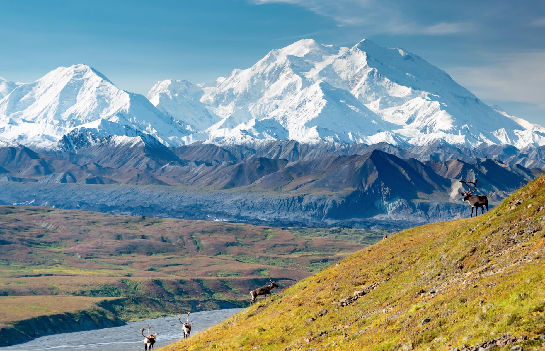 <p>Crowned by mighty Denali, the tallest peak in North America at 20,310 feet (6,190m), <a href="https://www.nps.gov/dena/index.htm">this national park</a> sprawls over six million rugged acres. Adventurous travelers come to hike through alpine tundra and lush boreal forest or to travel the winding Denali Park Road in one of the preserve's narrated tour buses. Wherever you are, keep an eye out for Denali's so-called Big Five: hulking moose, caribou, Dall sheep, wolves and, of course, grizzlies.</p>