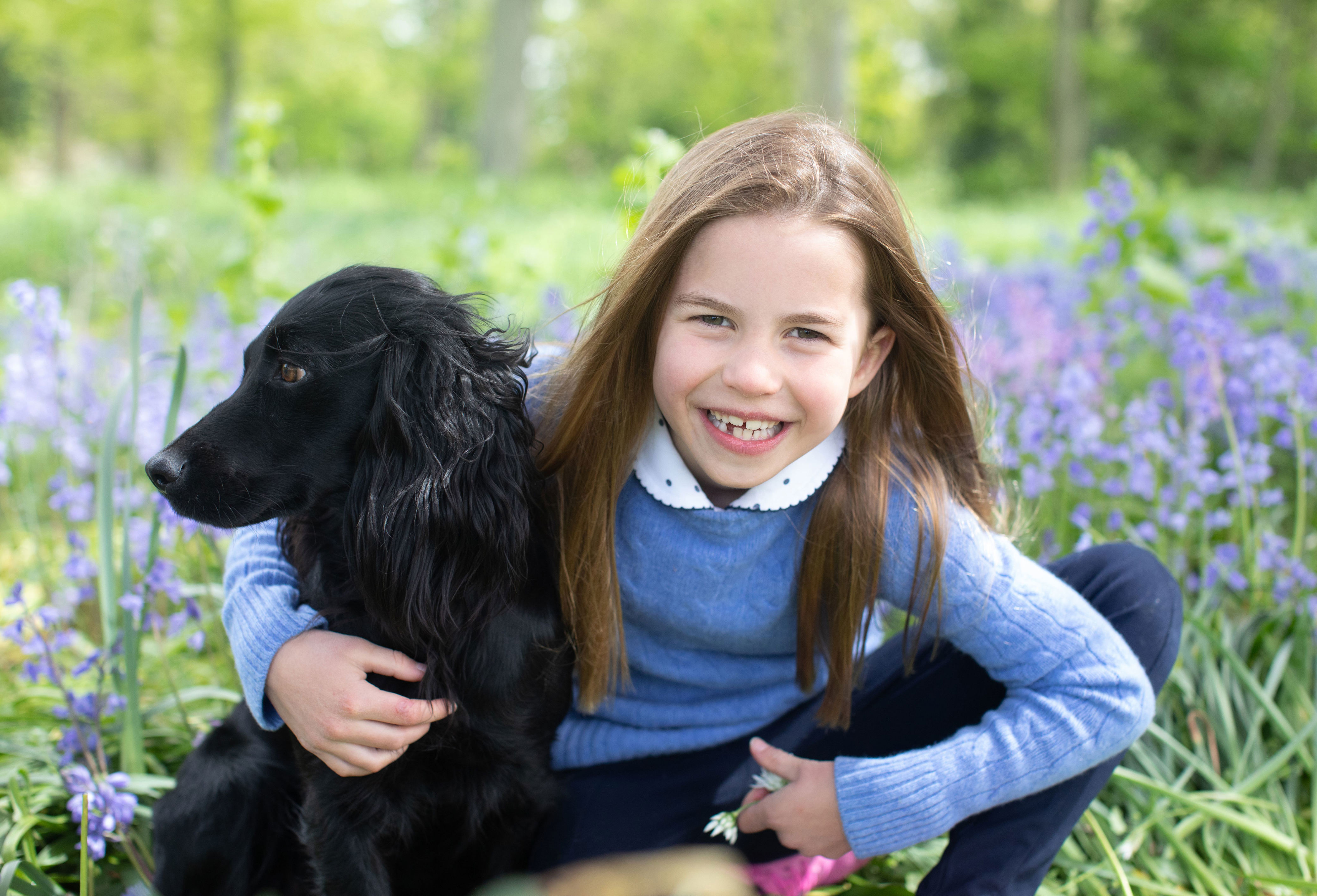 <p>Princess Charlotte posed with her family's pet cocker spaniel in a portrait taken by her mother, <a href="https://www.wonderwall.com/celebrity/profiles/overview/duchess-kate-1356.article">Duchess Kate</a>, in a field of bluebells near their country home, Anmer Hall, in Norfolk, England, the weekend before her 7th birthday on May 2, 2022.</p>