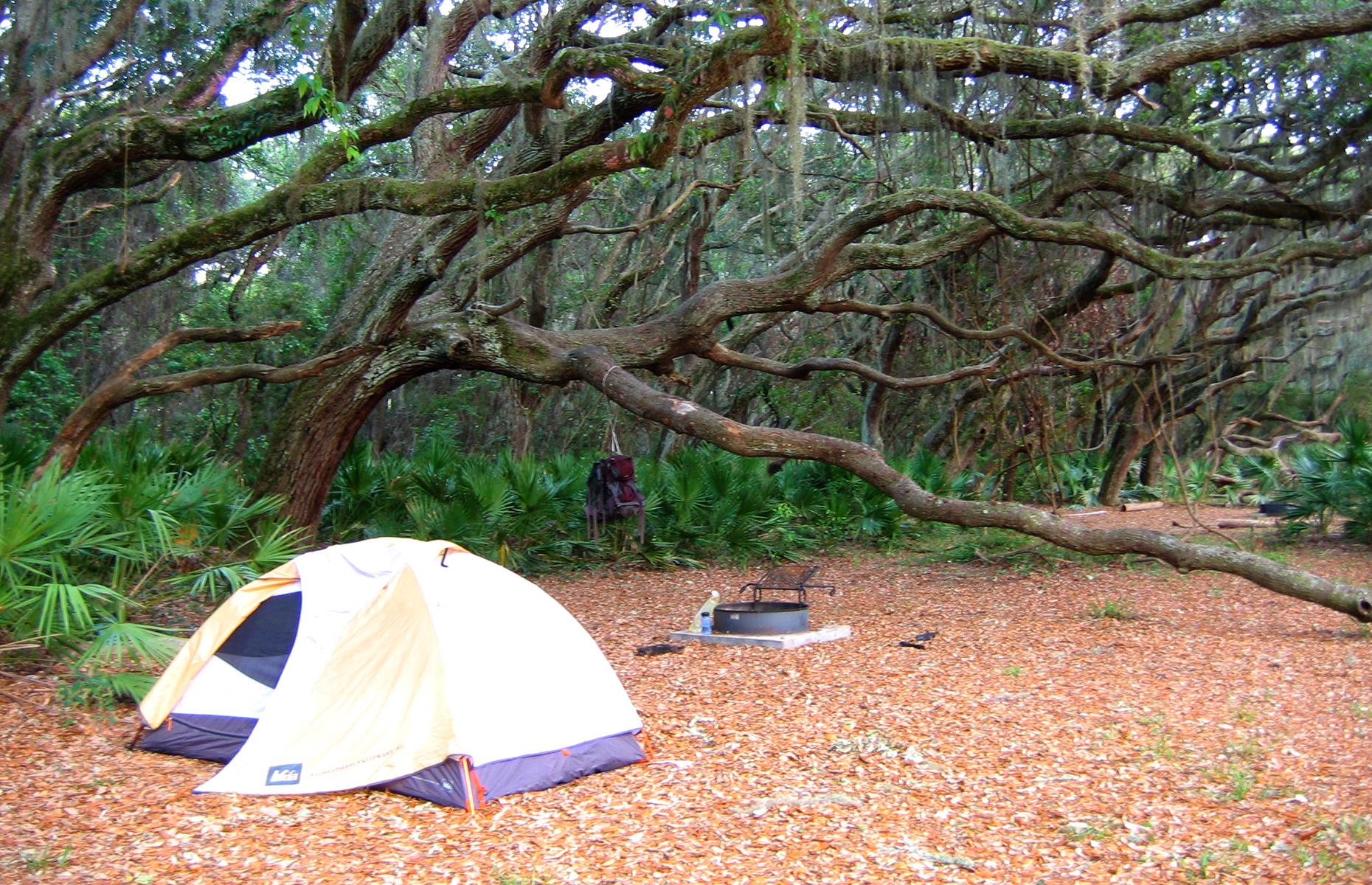 We've Found The Most Scenic Campsites In Every US State