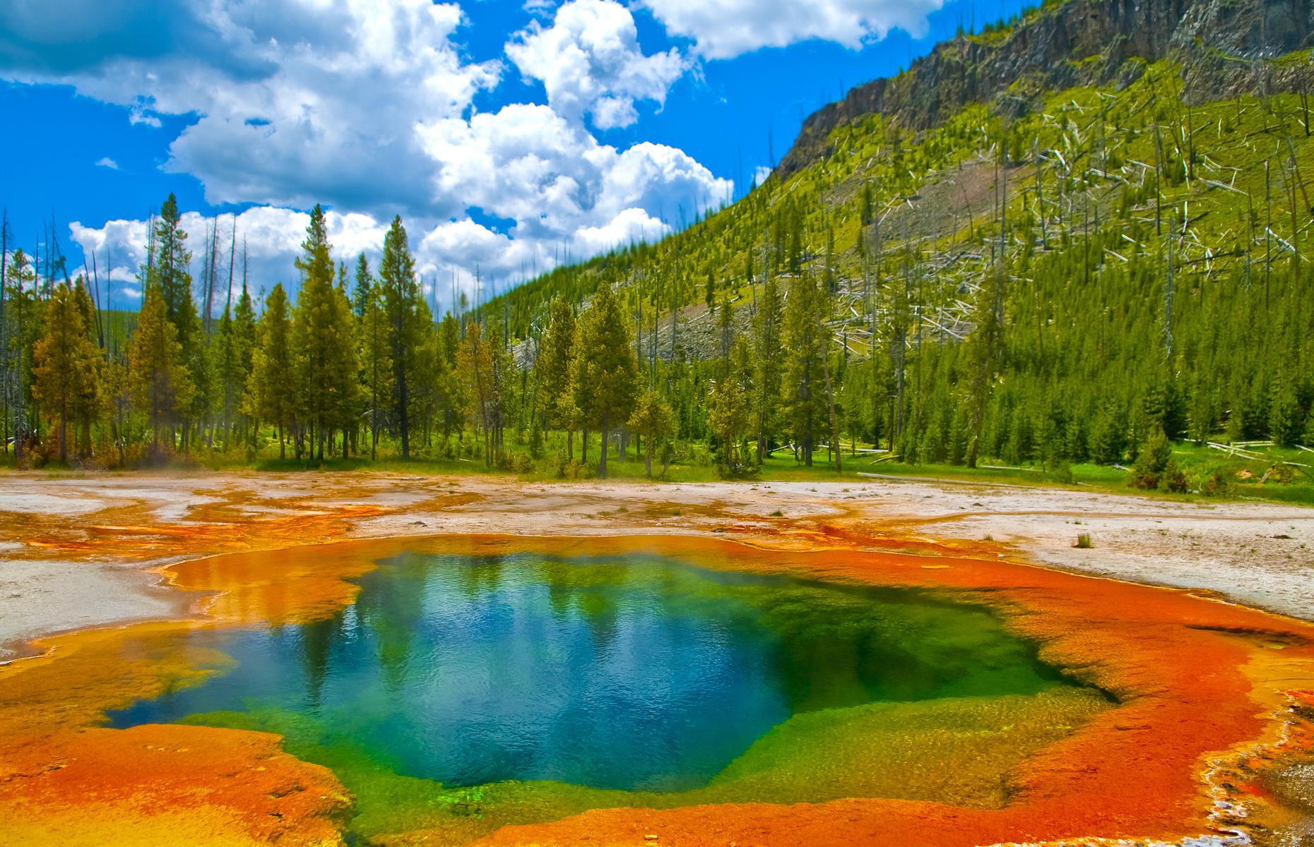 <p>Yellowstone National Park has the largest number of geysers and geothermal pools in the world and they are also among the most striking. They hiss, spurt and sparkle in vivid shades of blue, green, pink and yellow. Grand Prismatic Spring is the most famous example and can be viewed (at a safe distance) from an overlook.</p>  <p><strong><a href="https://www.loveexploring.com/news/76305/of-bison-and-bears-why-yellowstone-reminds-us-of-our-place-on-the-planet">Of bison and bears: why Yellowstone is an important reminder of our place on the planet</a></strong></p>