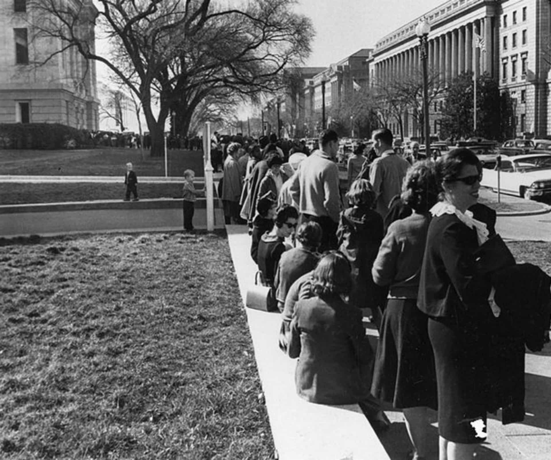 Museum exhibitions and displays