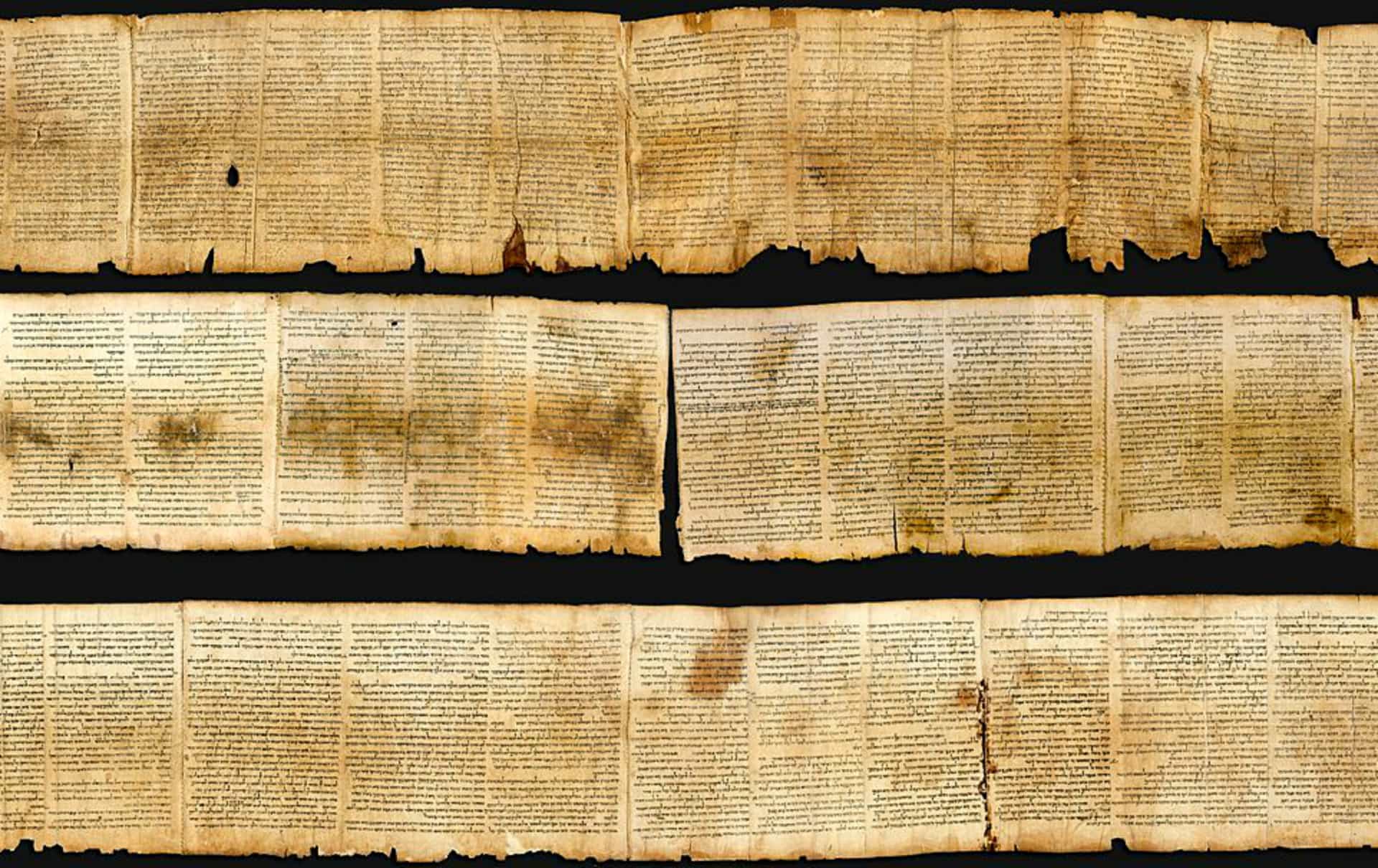 The Isaiah scroll