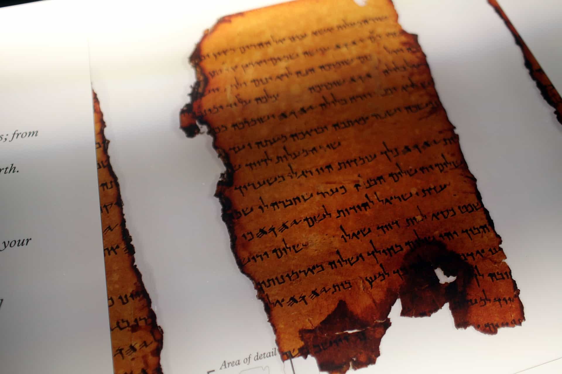 Origin of the Dead Sea Scrolls