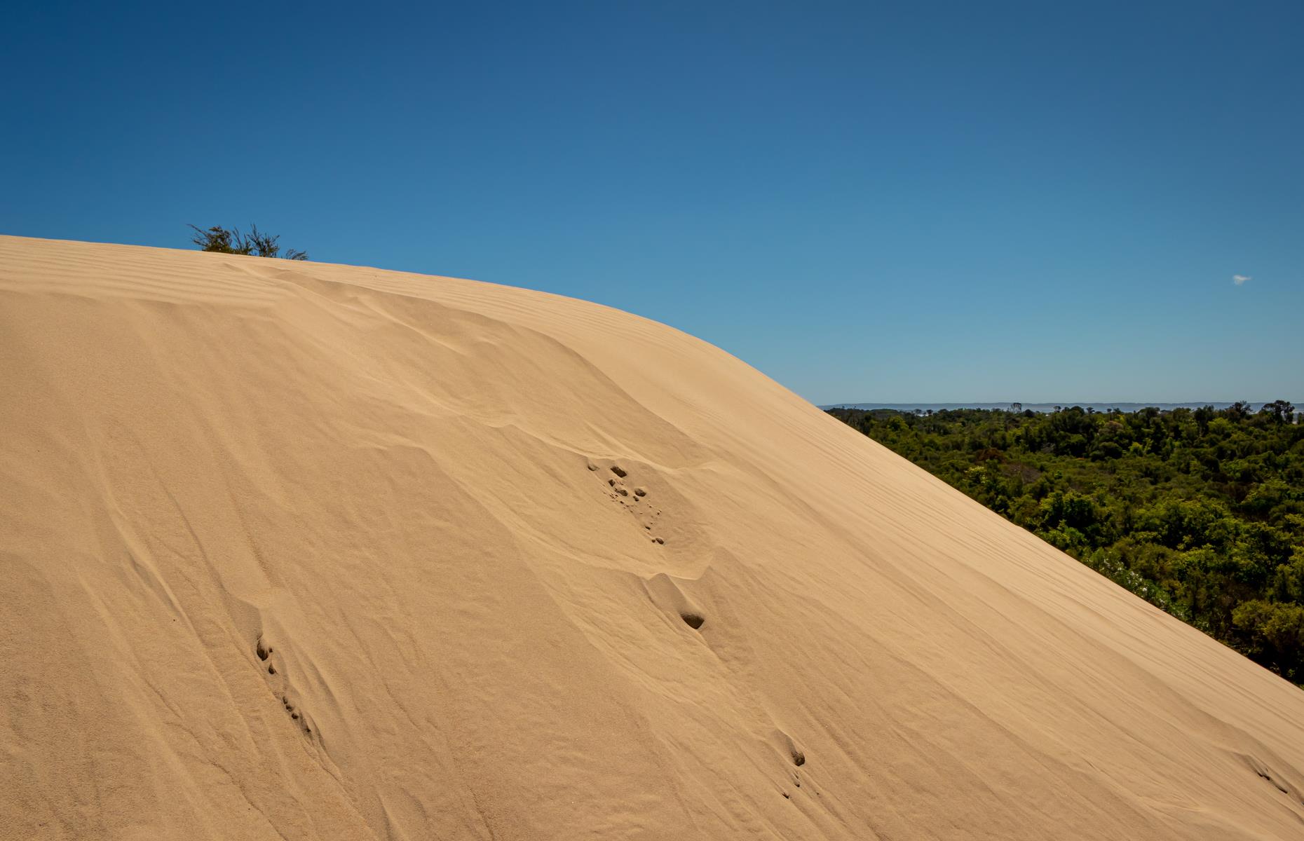 A soaring series of inland sand dunes known as the Big Drift can be found in the northern part of Wilsons Promontory National Park, which sits to the southeast of Melbourne. While most visitors head south to the park’s beaches, instead follow the Big Drift Track from Stockyards Camp – just by the park entrance – to scale this surreal and solitary landscape. The undulating dunes are best enjoyed at sunrise or sunset, when the sands glow a rose-tinged gold.