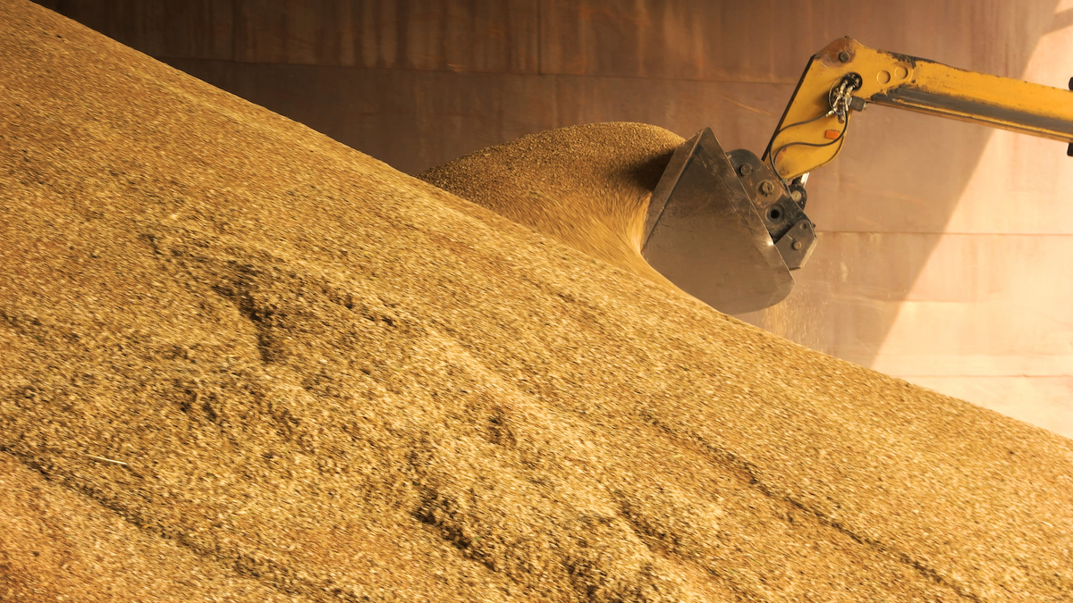 romania remains second-largest cereal exporter in the eu