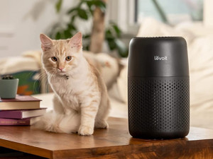 The Best Early Amazon Prime Day 2022 Deals on Air Purifiers Available Now - Amazon