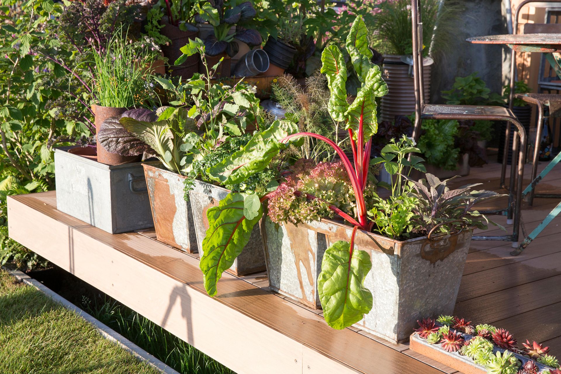  patio container vegetable garden ideas