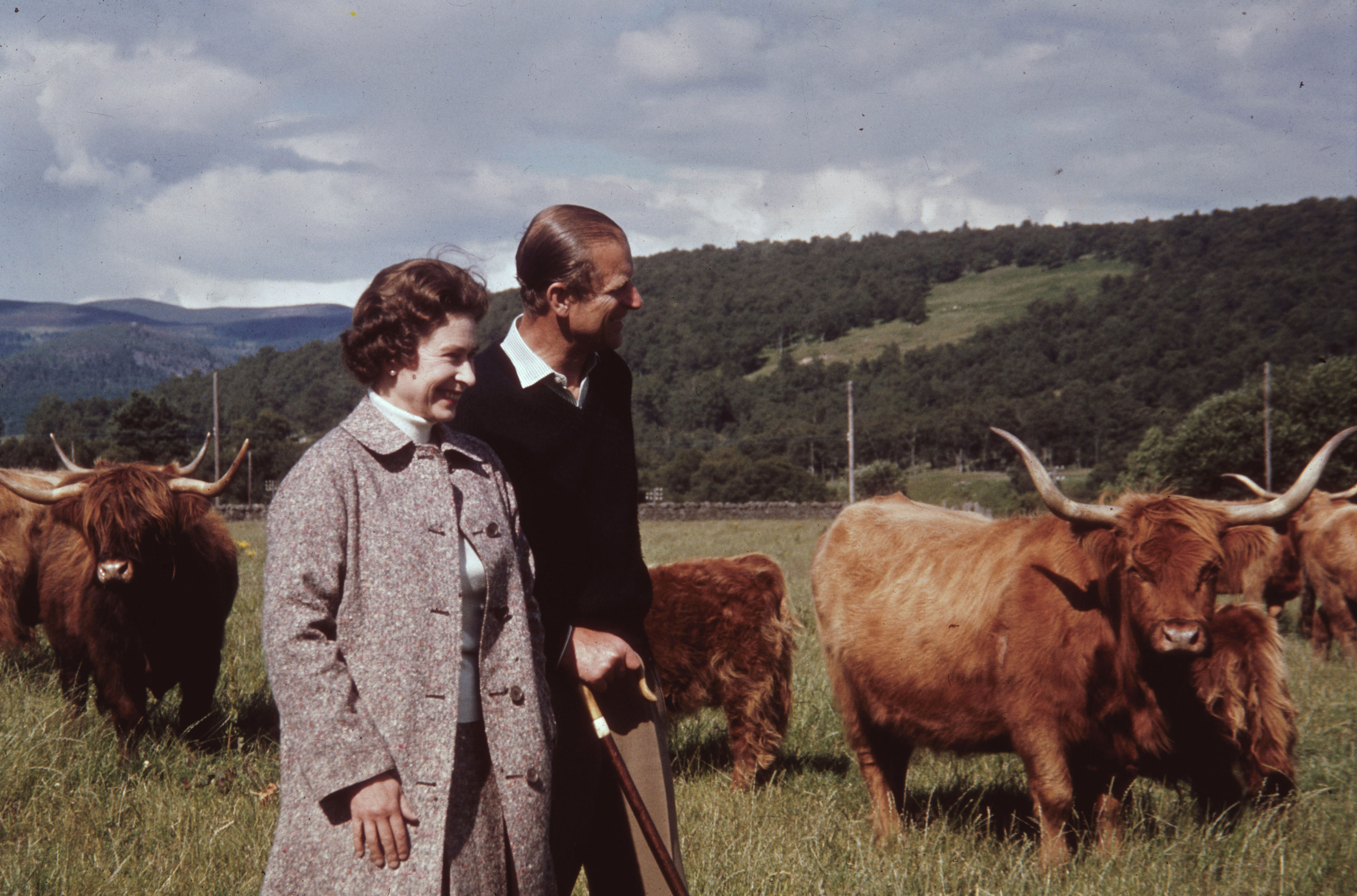 <p>Queen Elizabeth II and Prince Philip love the outdoors. They got up close and personal with some Highland cattle on her Balmoral Estate in Scotland in 1972.</p>