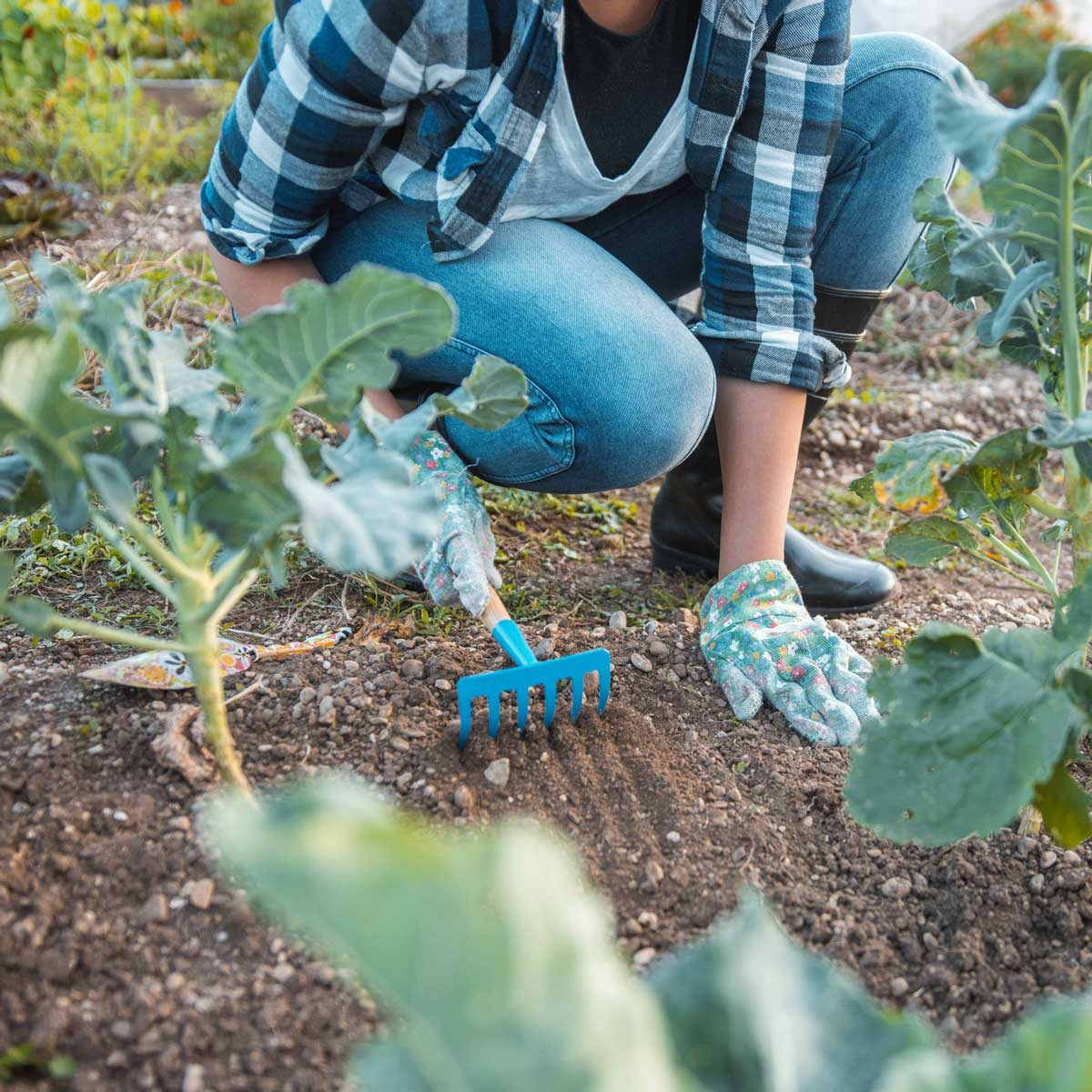 7 Best Garden Rakes for Cleaning Up Around Plants