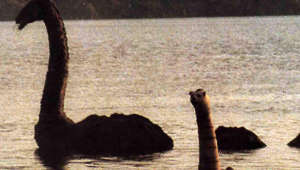 Monster von Loch Ness in Cumbria gesichtet