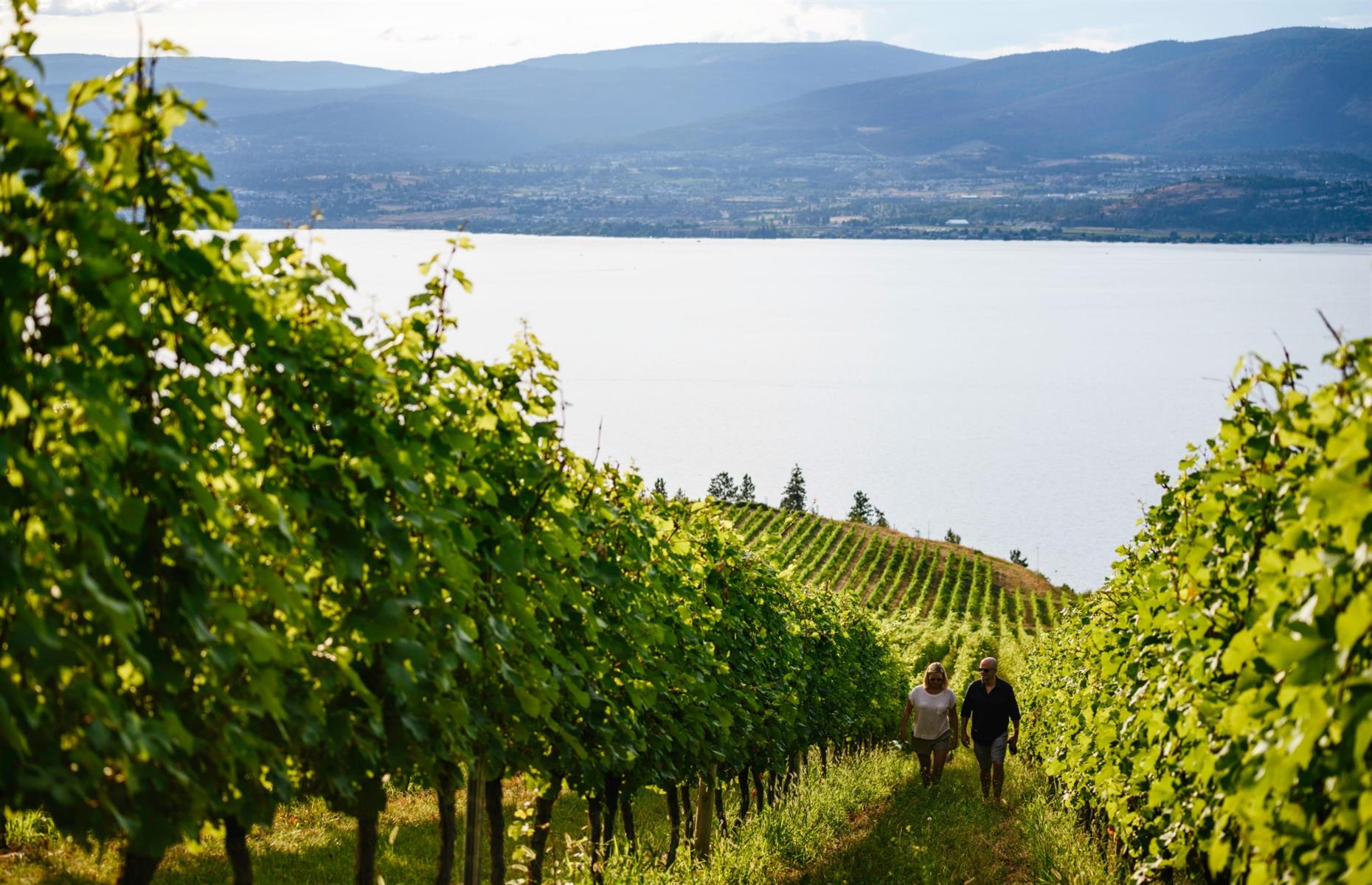 <p>The lake culture and temperate climate make Kelowna a popular spot in summer. While it’s a bit quieter in the winter, many of the wineries are open year-round and the city is also in close proximity to <a href="https://www.bigwhite.com">Big White</a>, Canada’s largest completely ski-in, ski-out resort. </p>  <p><a href="https://www.loveexploring.com/news/71007/okanagan-british-columbia-canada"><strong>7 reasons you need to visit Canada's Okanagan Valley</strong></a></p>