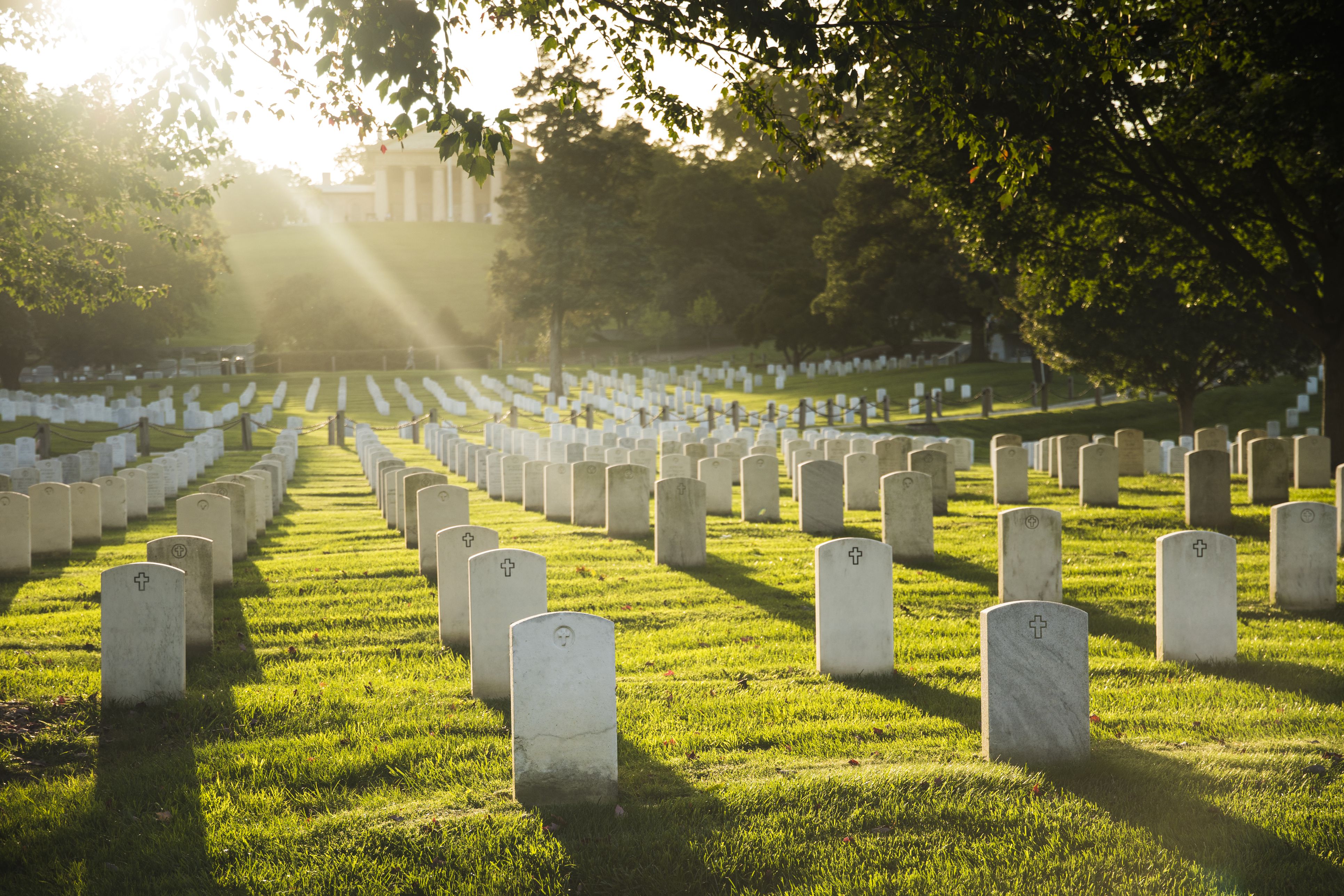 <p>Depending on your mood, there are two free sites to see in northern Virginia — <a href="https://www.arlingtoncemetery.mil/">Arlington National Cemetery</a> and the <a href="https://airandspace.si.edu/udvar-hazy-center">Udvar-Hazy Center</a>, part of the Smithsonian National Air and Space Museum. Arlington National Cemetery is the resting place of hundreds of thousands American military members, with remains of soldiers from every conflict since the Revolutionary War. At Udvar-Hazy Center, you can see a wide range of aircrafts, including a Concorde, SR-71 Blackbird, and the space shuttle Discovery.</p>