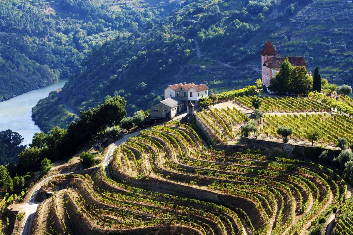 <p>Delight your palate with some of Portugal’s most sensational wines on an eight-day Autumn cruise along the Douro River. After arriving in Porto to join the A-ROSA ALVA, you’ll journey to Régua, a town that’s produced port since the 18th century. </p><p>A little later on the voyage, you’ll visit a Quinta in Pinhão and take part in the traditional grape harvest, picking and crushing the grapes underfoot – bound to be a memorable moment! You’ll then journey to Spain, sampling port wine in Vega Terron.</p><p><strong>When? </strong>October 2022 and 2023</p><p><a class="body-btn-link" href="https://www.goodhousekeepingholidays.com/tours/douro-river-wine-cruise">FIND OUT MORE</a></p>