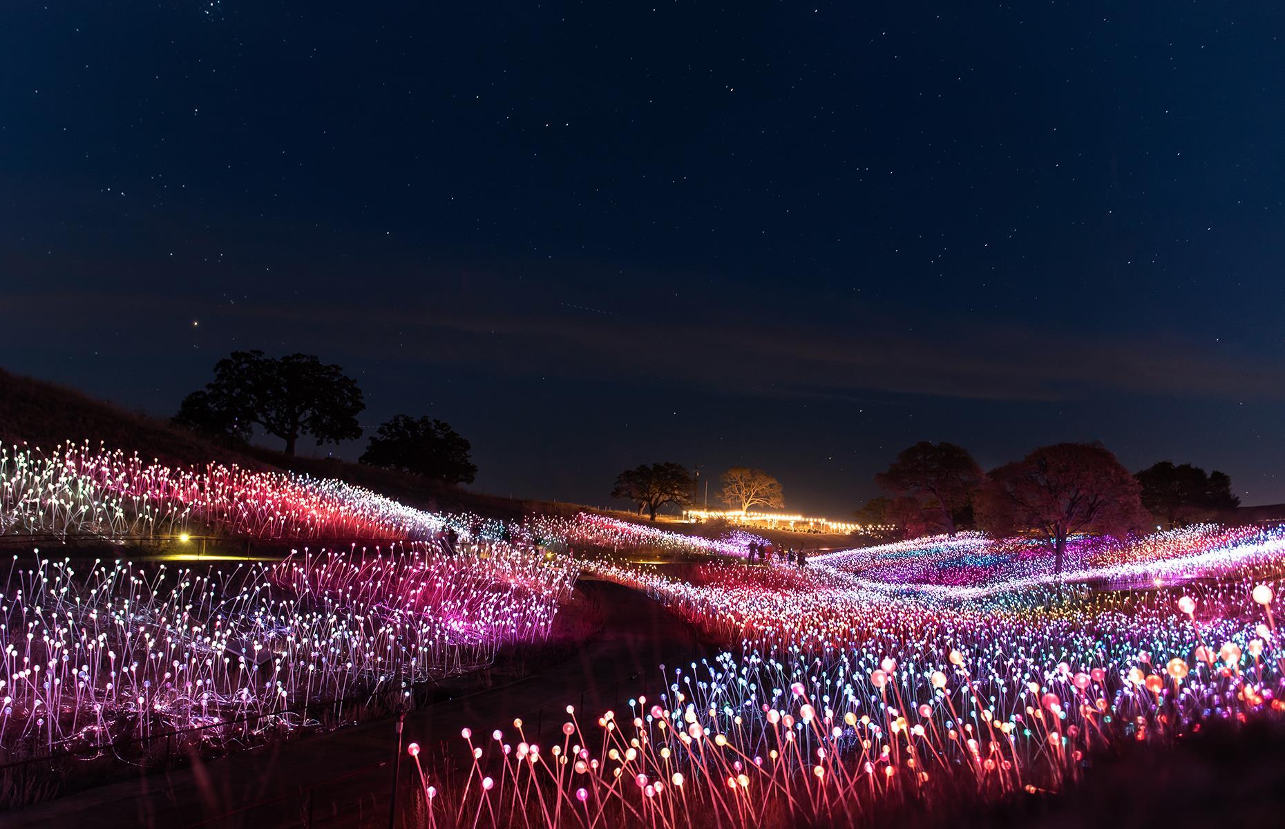 <p>If you’re after a more unusual way to experience California’s wine country, check out <a href="https://sensoriopaso.com/">Light at Sensorio</a>. Created by England-born artist Bruce Munro, it features two twinkling installations stretched across the landscape: Field of Light and Light Towers. The former sees 15 bucolic acres covered in a rainbow of fiber-optic stems, while the latter comprises 69 tow­ers made from bottles, also aglow in bright colors. Wander around the glittering displays before sinking a sundowner at the Airstream bar. It’s open Thursday, Friday, Saturday and Sunday evenings throughout the summer and tickets can be booked online in advance. </p>