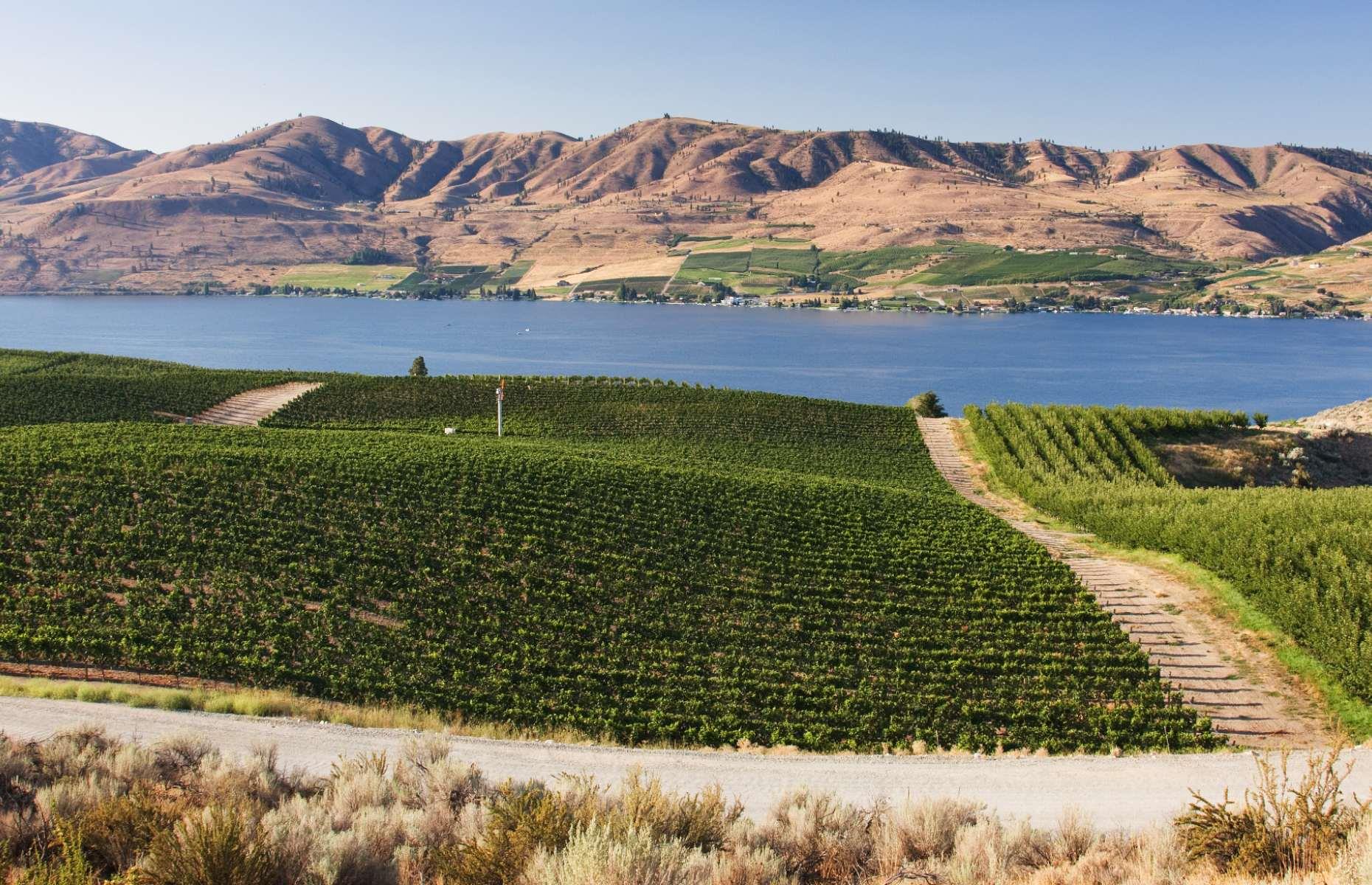 <p>To take in the best that Washington’s Lake Chelan region has to offer, make a beeline for <a href="https://cairdeaswinery.com/">Cairdeas Winery</a> which sits on the lake’s stunning north shore near Manson. The influence of France’s Rhône Valley is evident here: Viognier, Roussanne and Picpoul grapes combine to create a range of traditional blends, which can all be sampled in the lakefront tasting room. Opt for a $15 tasting flight (the price is waived if you buy two bottles) and enjoy a selection of charcuterie, cheese boards and snacks to go with it. </p>