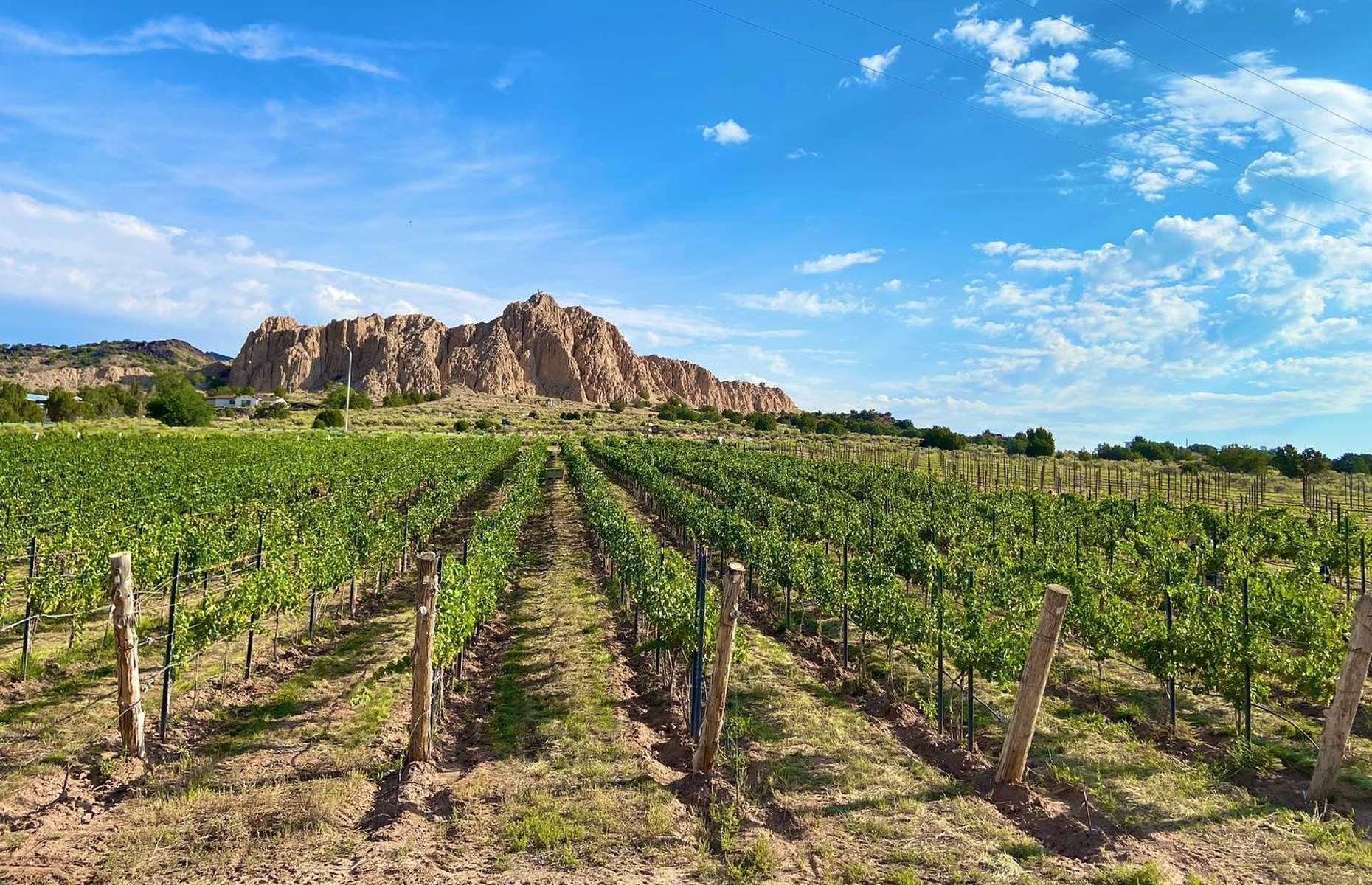 <p>New Mexico's winemaking history goes back some 400 years, to when Spanish missionaries began growing grapes near the banks of the Rio Grande. And if you’re after somewhere picturesque to taste world-class vino, head to <a href="https://vivacwinery.com/">Vivác Winery</a> in Dixon. At 6,000 feet (1,829m) in elevation, it’s one of the highest-altitude wineries on the planet, which also means the views from its tasting room are world-class. Prices are reasonable too, with a standard tasting flight featuring four wines coming in at just $12 a head. </p>