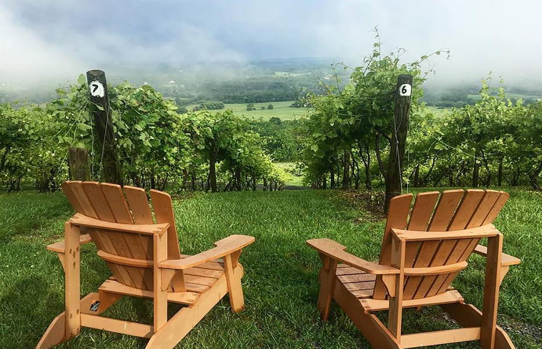 <p>We can think of worse places to relax with a glass of vino than at Virginia’s <a href="https://www.bluemontvineyard.com/">Bluemont Vineyard</a>, overlooking the stunning Blue Ridge Mountains. But it’s not just great scenery on offer here. As well as a range of tours and tastings of Albariño and bold red blends, Bluemont offers more unusual experiences like wagon rides through the orchards and fruit-picking. You can even book a seat at the chef’s table to dine on dishes made from homegrown produce, served with expertly-paired wines.</p>  <p><a href="https://www.facebook.com/loveexploringUK?utm_source=msn&utm_medium=social&utm_campaign=front"><strong>Love this? Follow us on Facebook for more travel inspiration</strong></a></p>