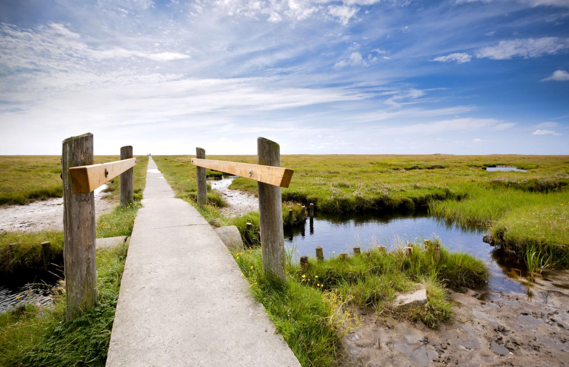 <p>Germany has three national parks in the Wadden Sea in the northwestern part of the country, near Denmark. <a href="https://www.germany.travel/en/nature-outdoor-activities/schleswig-holstein-wadden-sea-national-park.html">This one</a> is remarkable in that it contains the world’s largest continuous area of mudflats, formed as a result of the ultra-flat shorelines. The salt marshes and sand dunes give the park a distinctive look and also create a home for a unique collection of plants and animals, with seals, porpoises, starfish and birds that can be spotted as visitors explore on foot or by bike.</p>