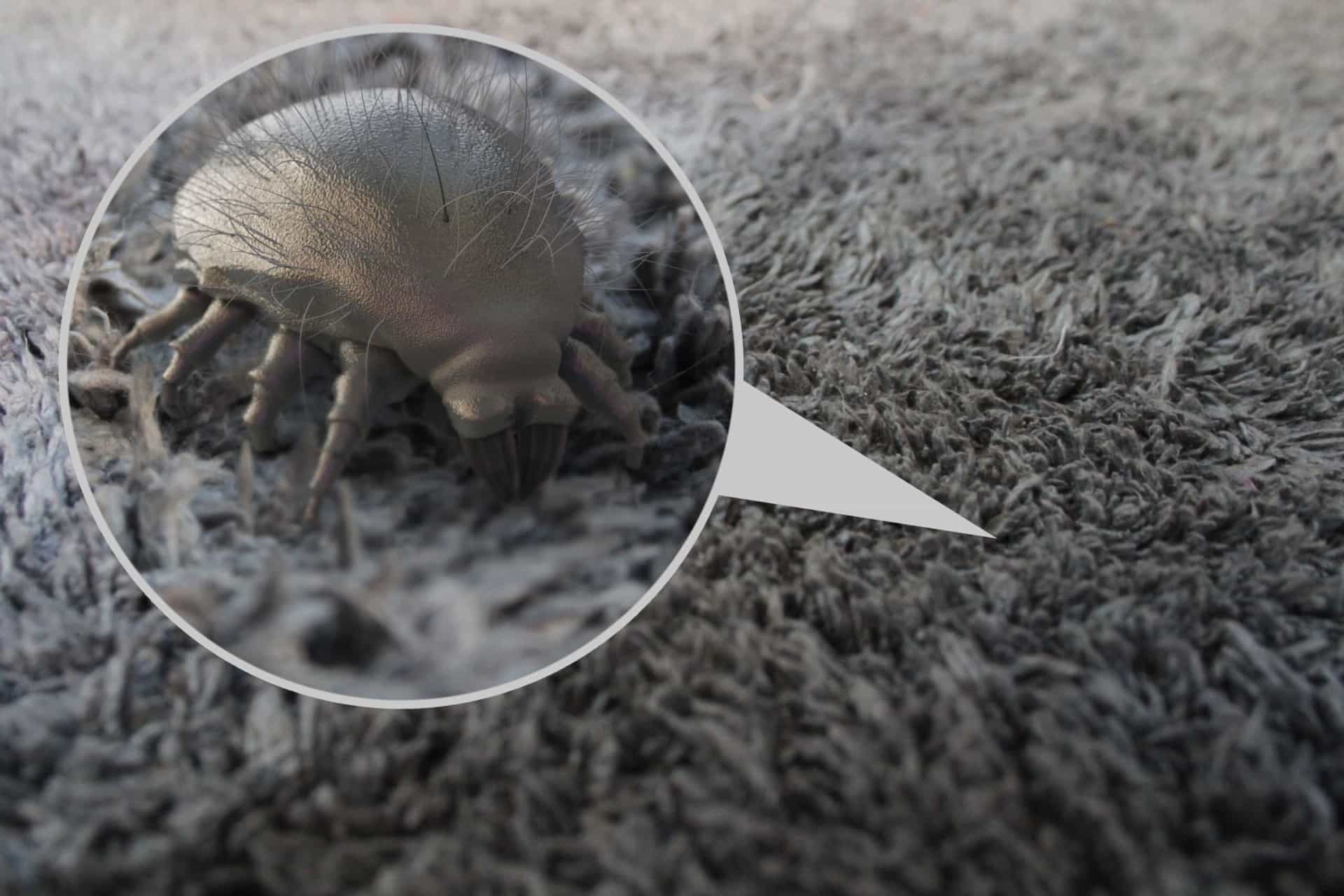 What happens if you stop cleaning your home