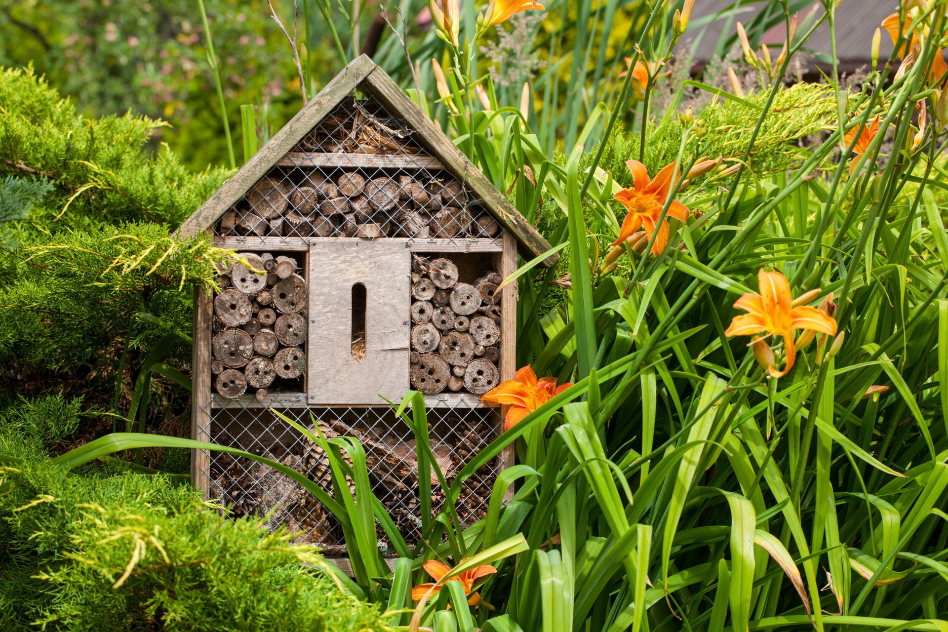 <p>                     Bees have lost much of their natural habitat as wildflower meadows vanish. So, they need a helping hand to find a safe nesting place. Learning how to make a bug hotel is a lovely way to spend an afternoon.                    </p>                                      <p>                     Children will love the idea of doing something to save the bees and other insects, whilst crafting a hotel from scratch is an activity the whole family can enjoy.                    </p>                                      <p>                     There are lots to choose from online too, if you decide that crafting one yourself is a step too far. Once ready, secure your bee hotel at shoulder height to a fence or wall in a sheltered spot. Put it near bee-friendly plants too, such as lavender, and you'll get to enjoy the buzz next spring.                    </p>