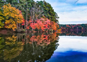 Fall in Raleigh at Lake Johnson
