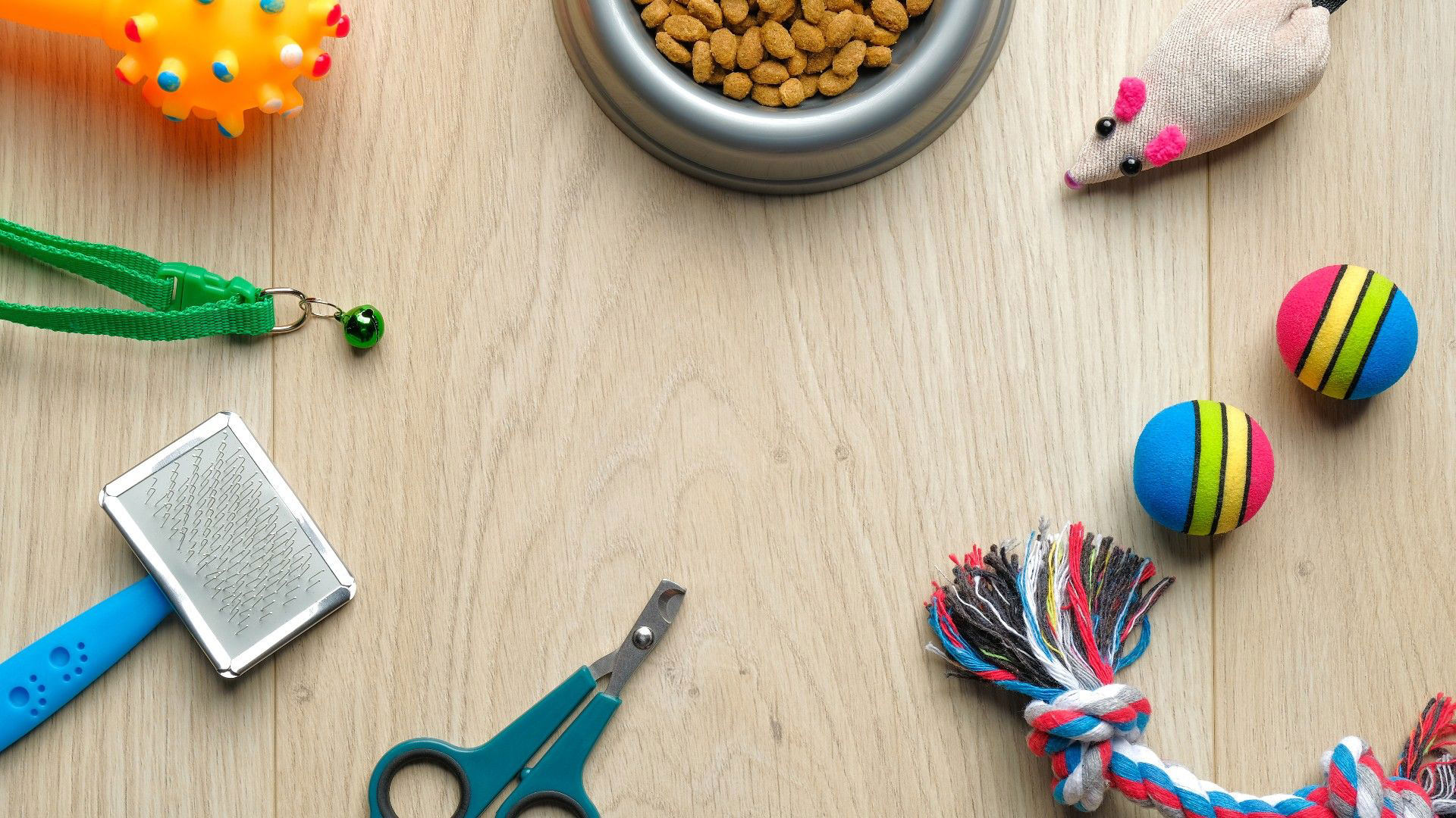 10 musthave pet products that every pet parent should own