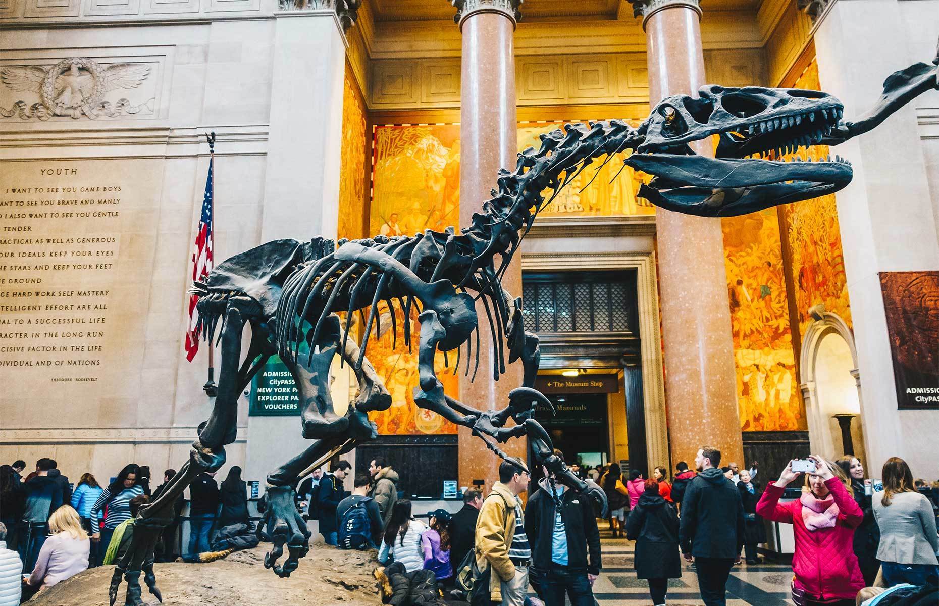 <p class="p1"><span>Curious tourists with a thirst for knowledge will adore a stop at the <a href="https://www.amnh.org/" rel="noreferrer noopener"><span>American Museum of Natural History</span></a>. During your visit, don’t be surprised to find yourself recalling scenes from <a href="https://www.imdb.com/title/tt0477347/" rel="noreferrer noopener"><span><em>Night at the Museum</em></span></a>, a movie filmed on the premises.</span></p>