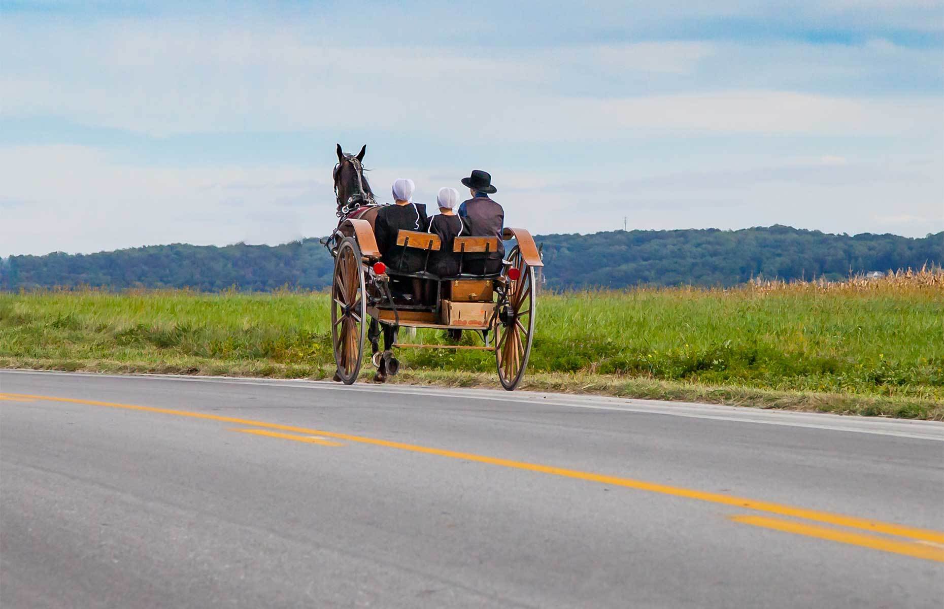 <p class="p1"><span>Life in Lancaster’s Amish community <a href="https://www.discoverlancaster.com/activities/amish-activities.asp" rel="noreferrer noopener"><span>resembles that at the turn of the last century</span></a>. Sign up for a <a href="https://amishcountrybuggyrides.com/?gclid=EAIaIQobChMIyMmi8JyZ5QIVB6SzCh05EgDfEAAYAyAAEgLMw_D_BwE" rel="noreferrer noopener"><span>guided tour</span></a> to learn more about their simple, self-sufficient lifestyle.</span></p>