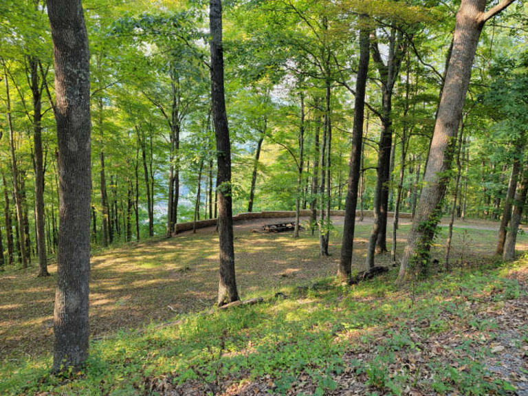 Things To Do In New River Gorge National Park