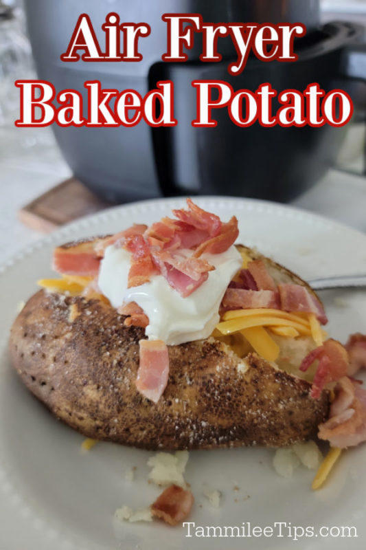 Easy And Oh-so-delicious Air Fryer Baked Potato Recipe!