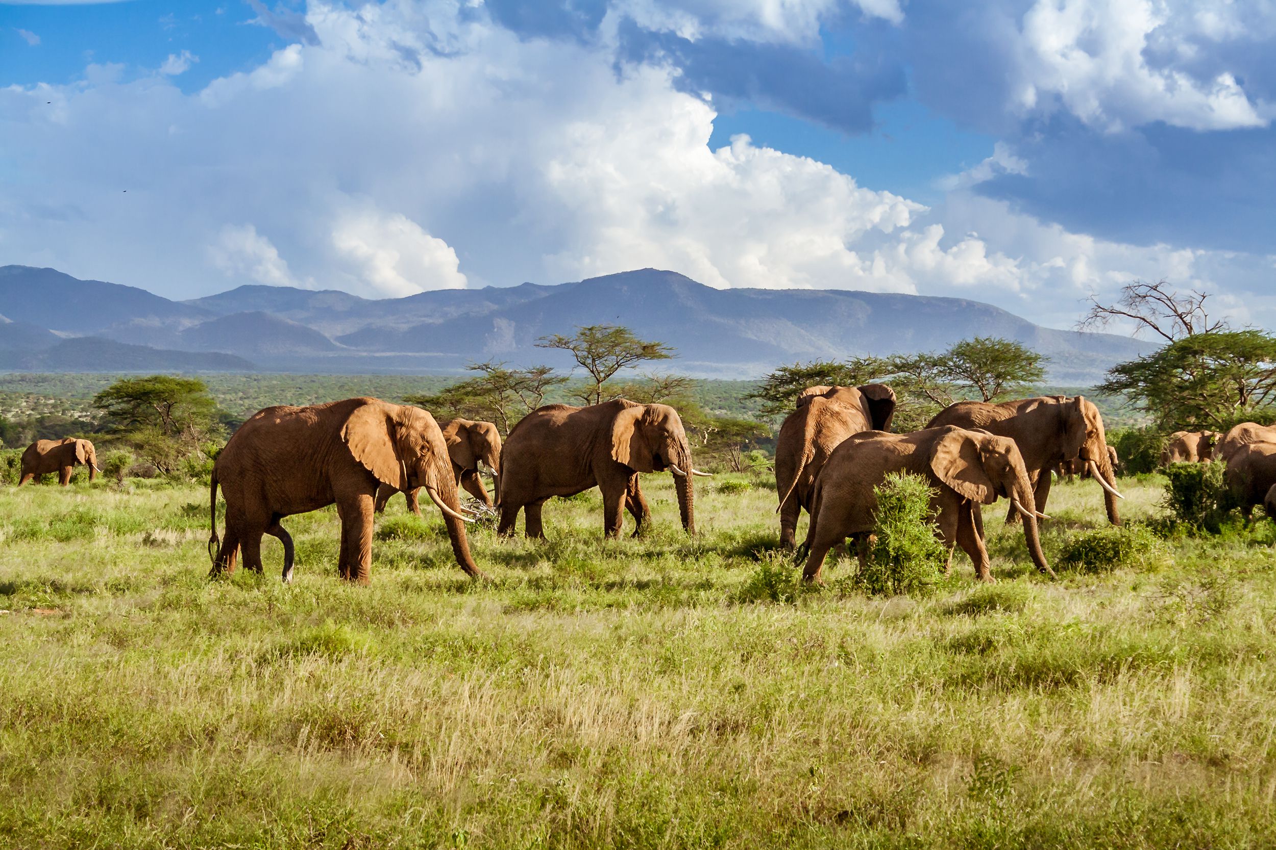 <p>Get up close and personal with incredible wildlife on a bucket-list-worthy safari adventure in South Africa. With most days spent in all-terrain vehicles observing the "<a href="https://www.tripsavvy.com/africas-big-five-safari-animals-1454083">Big Five</a>" roaming the boundless landscapes, excursions are often low impact and popular with budget-conscious boomers. Book a fully guided safari package through <a href="https://www.krugerpark.co.za">Kruger National Park</a>, one of Africa’s largest game reserves, or another affordable day or multi-day <a href="https://www.africanbudgetsafaris.com/budget-safaris">Cape Town safari adventure</a>. Other attractions include vineyard tours, beach getaways, and a tram ride up Table Mountain.</p><p><b>Related:</b> <a href="https://blog.cheapism.com/wild-animal-parks/">21 Places to Safely See Wild Animals Up Close</a></p>