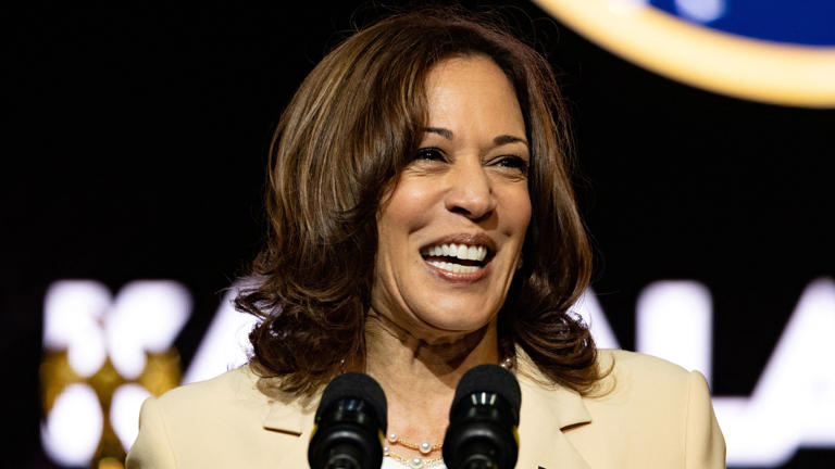 Kamala Harris urgently needs a way to rehabilitate her historically unpopular image ahead of the 2024 presidential race. Reuters/Hannah Beier