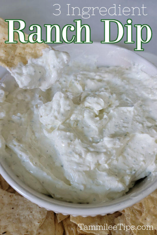 3 Ingredient Creamy Ranch Dip Recipe