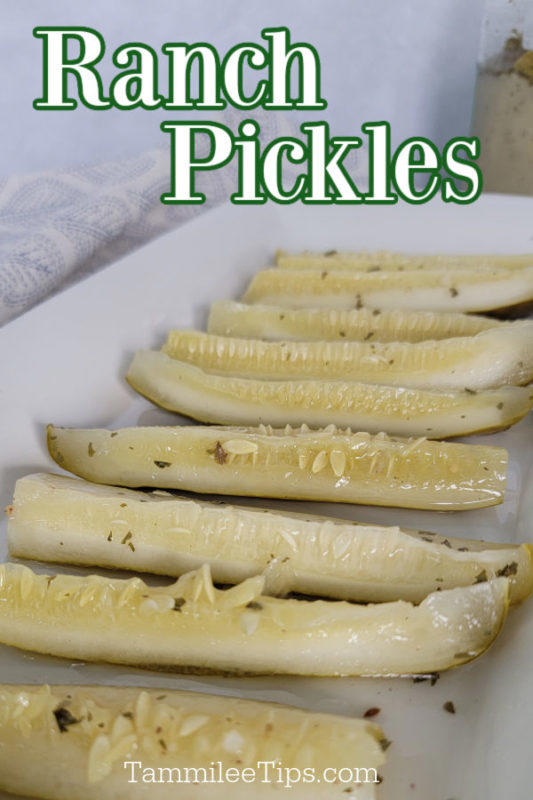 Fun 2 Ingredient Ranch Pickles
