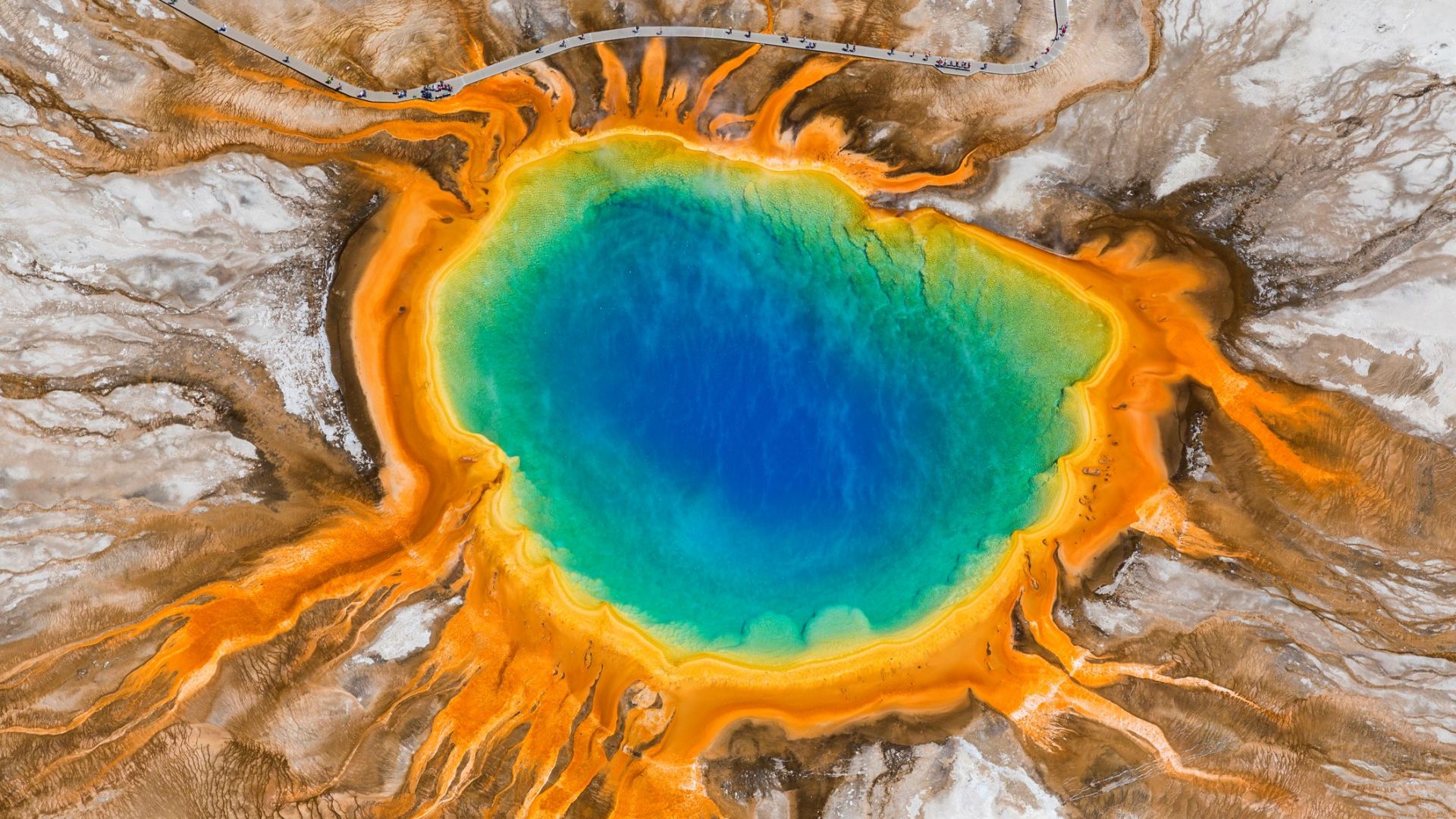 <p>                     The Grand Prismatic Spring is the most photographed thermal feature in Yellowstone National Park, according to adventure publisher Outside.                   </p>                                      <p>                     According to the U.S. National Park Service, the ring of vivid colors measures 200 to 300 feet (60 to 90 meters) in diameter and 121 feet (36 m) deep — it's no wonder this striking spring is so popular with photographers and tourists alike.                    </p>                                      <p>                     The superheated spring is also a sought-after location for microscopic organisms known as thermophiles, which thrive in hot environments. ("Thermo" means heat, and "phile" means lover.) The hardiest of the thermophiles that live in the hottest water are colorless or yellow, whereas the orange, brown and green thermophiles live in the not-so-hot waters around the edge of the spring.                   </p>